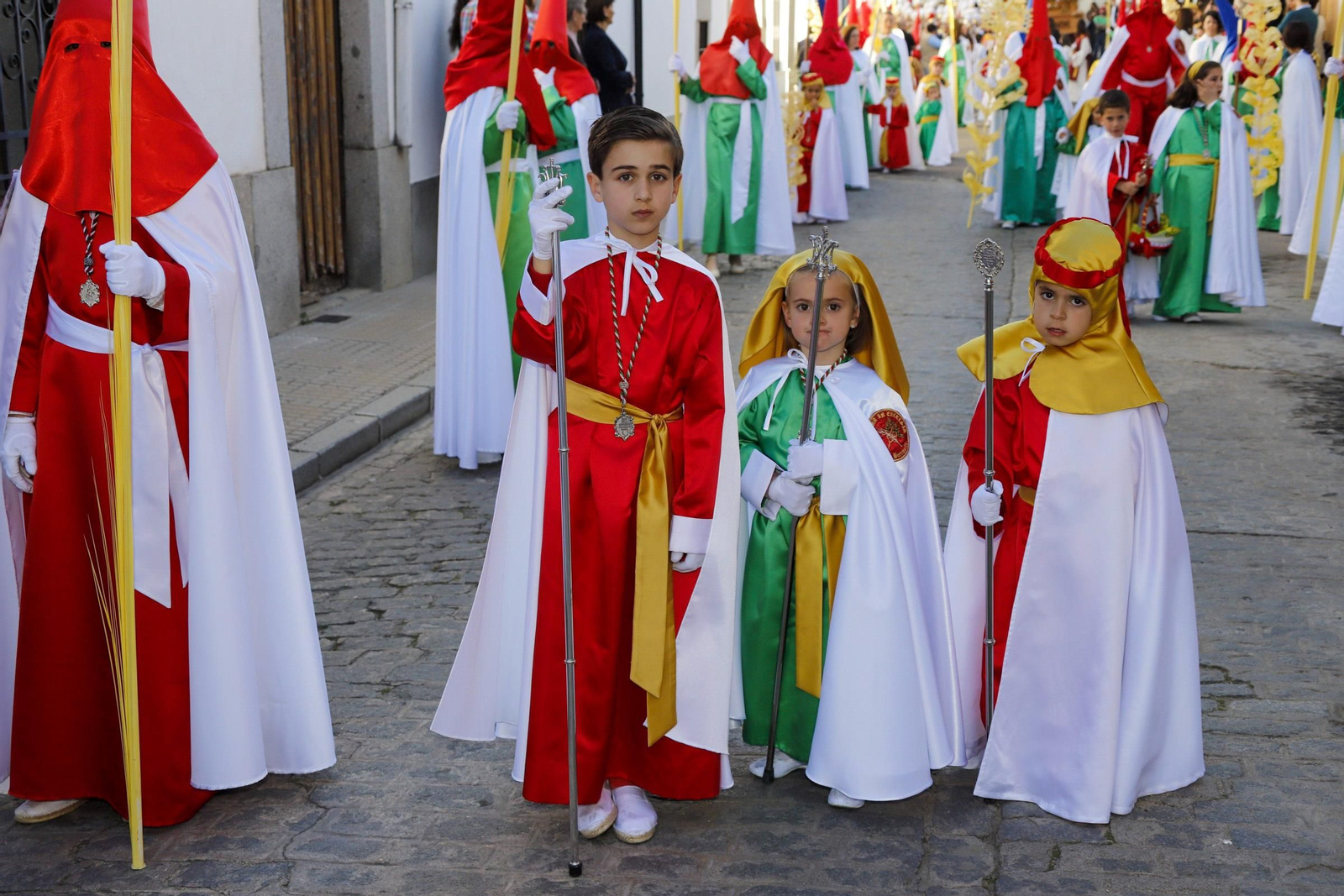 La procesión de la Borriquita en Villanueva de Córdoba, en imágenes