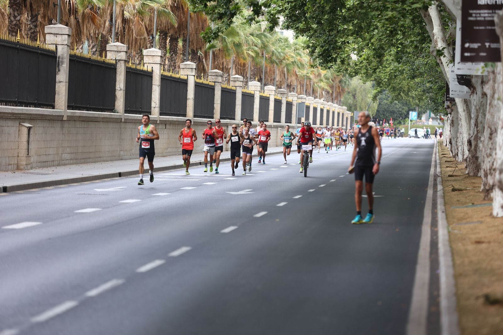 Las mejores fotos de la Carrera Ponle Freno en Málaga