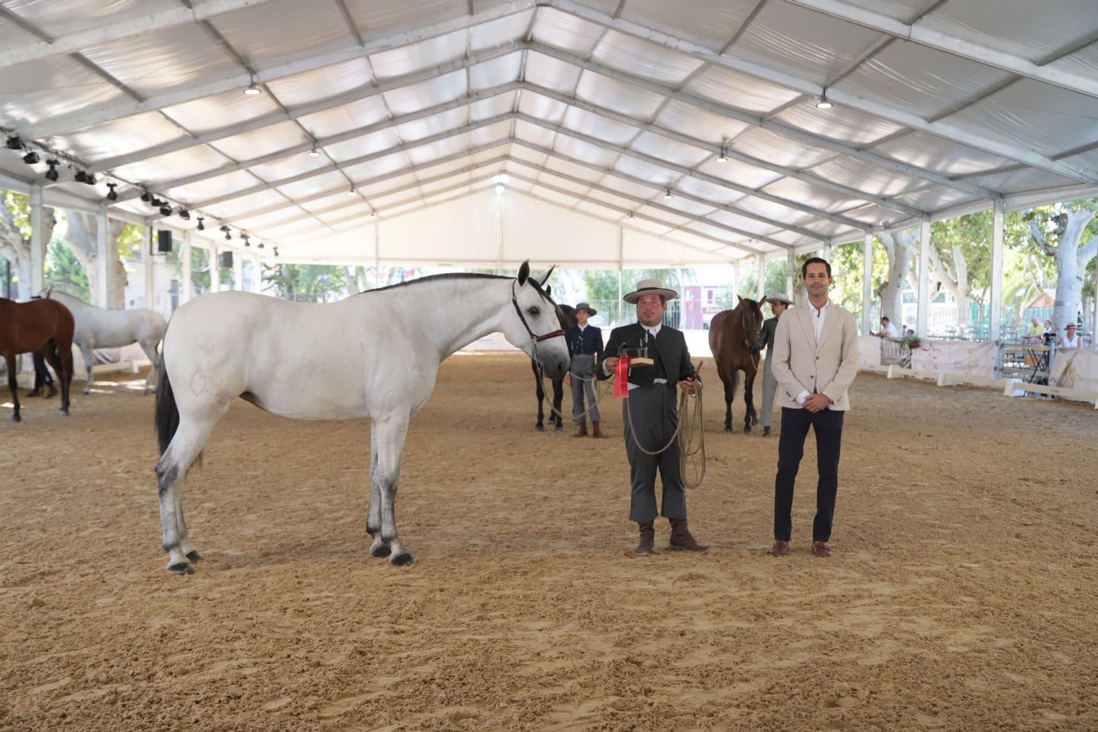Así es el bello concurso de caballos de Andújar, en imágenes