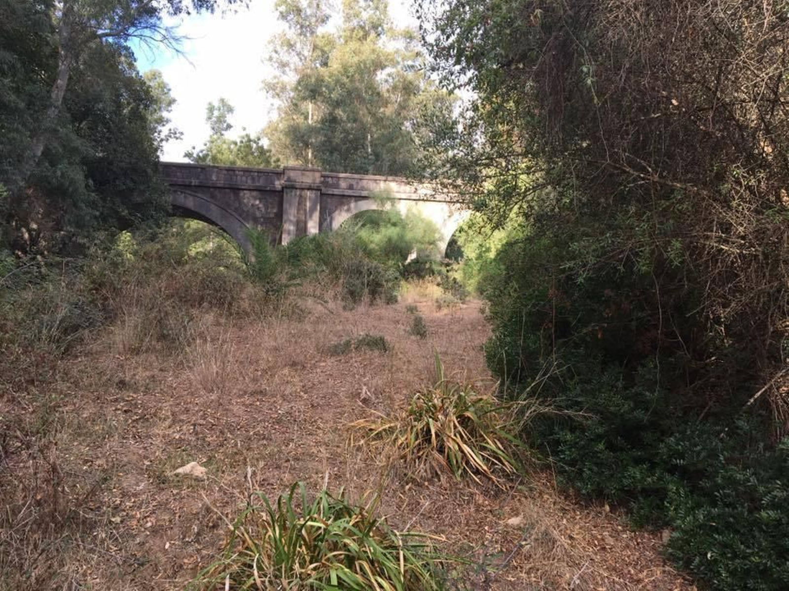 Uno de los puentes del Sendero de la Mariposa Monarca.