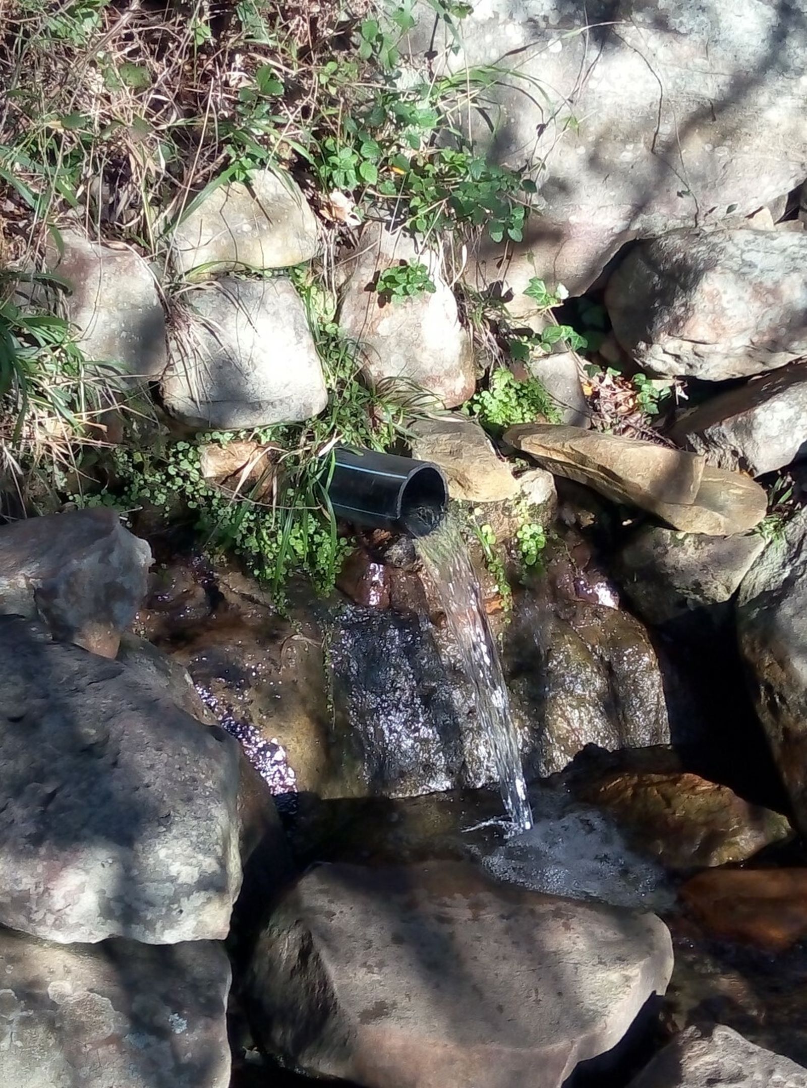 El mimbre o Chorro de Pelayo, en la actualidad.