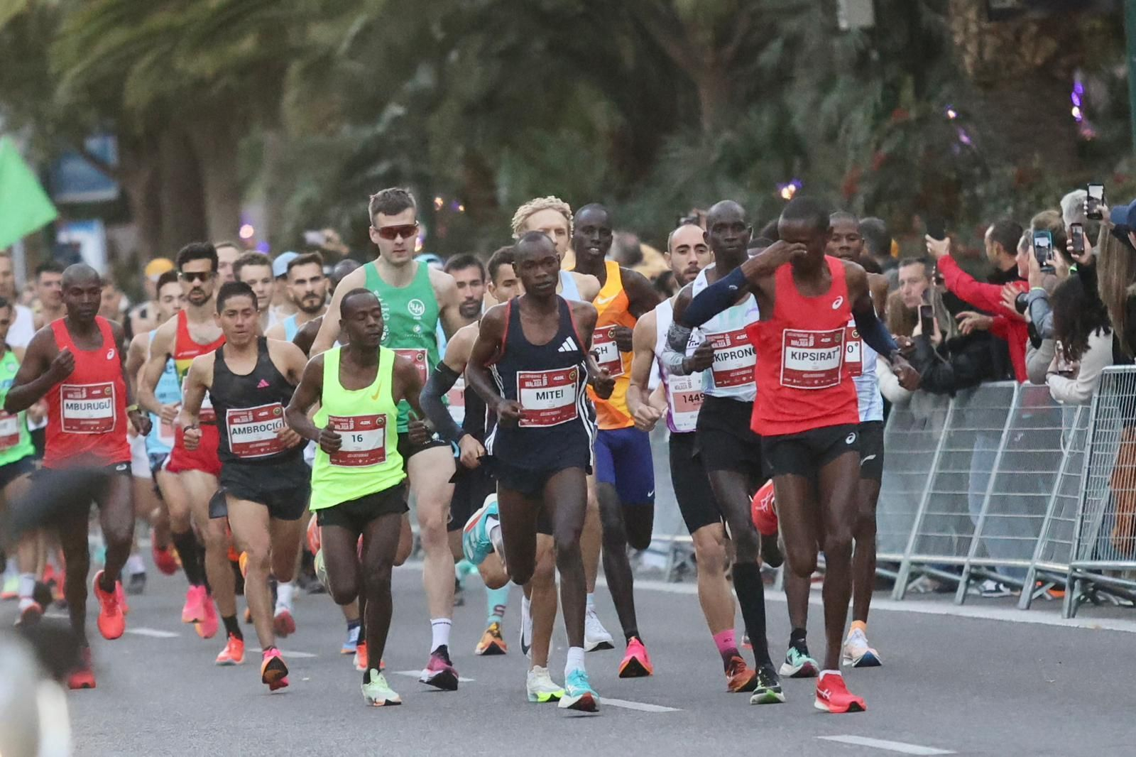 Las fotos de la Maratón de Málaga 2023