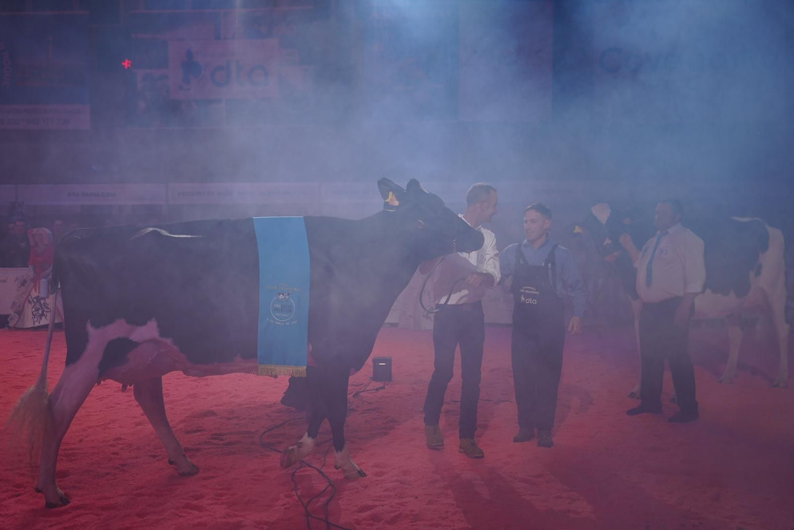 Las imágenes de la última jornada de la XVII Feria del Ganado Frisón de Dos Torres