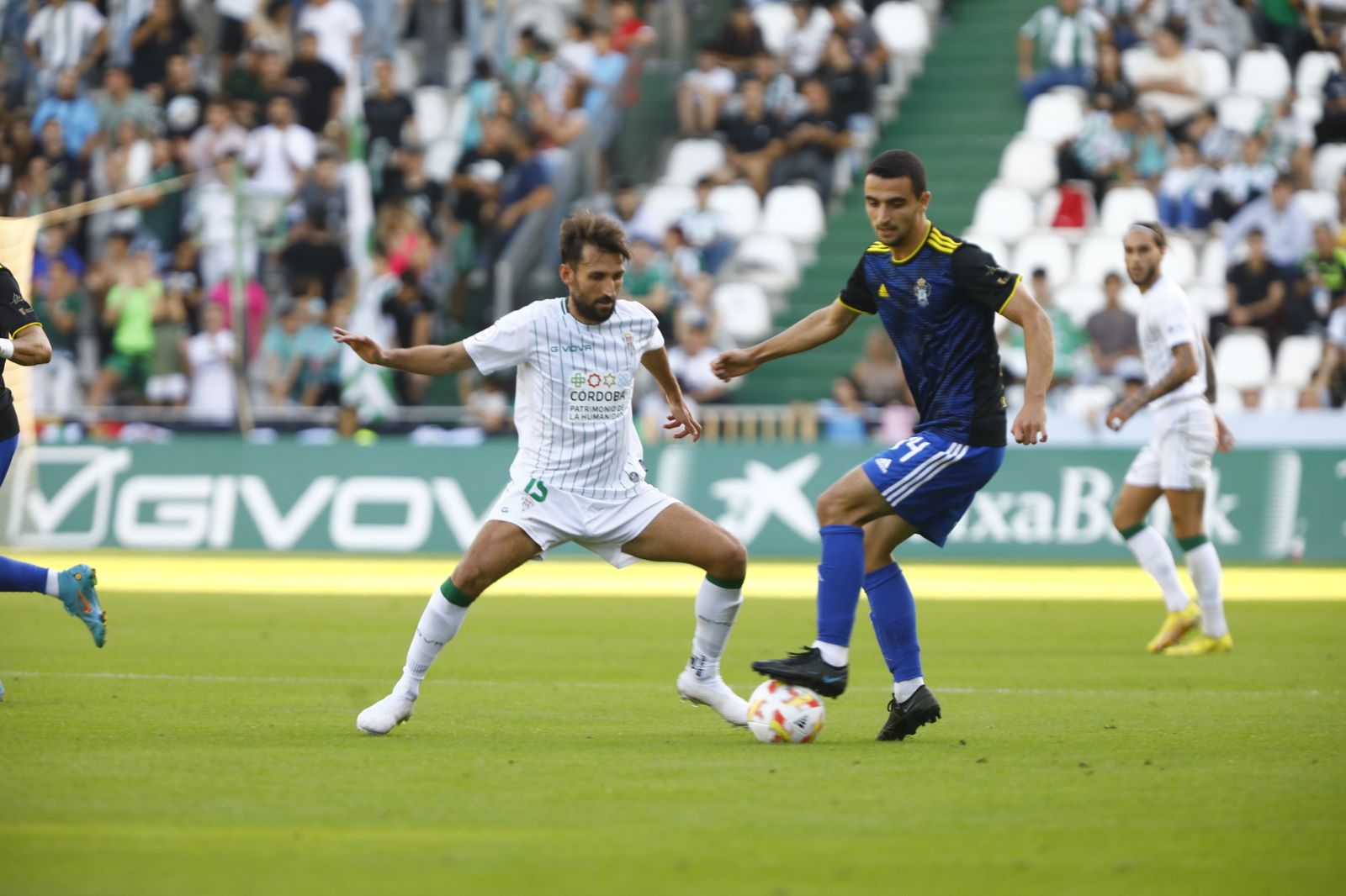 Las mejores imágenes del Córdoba CF - Talavera