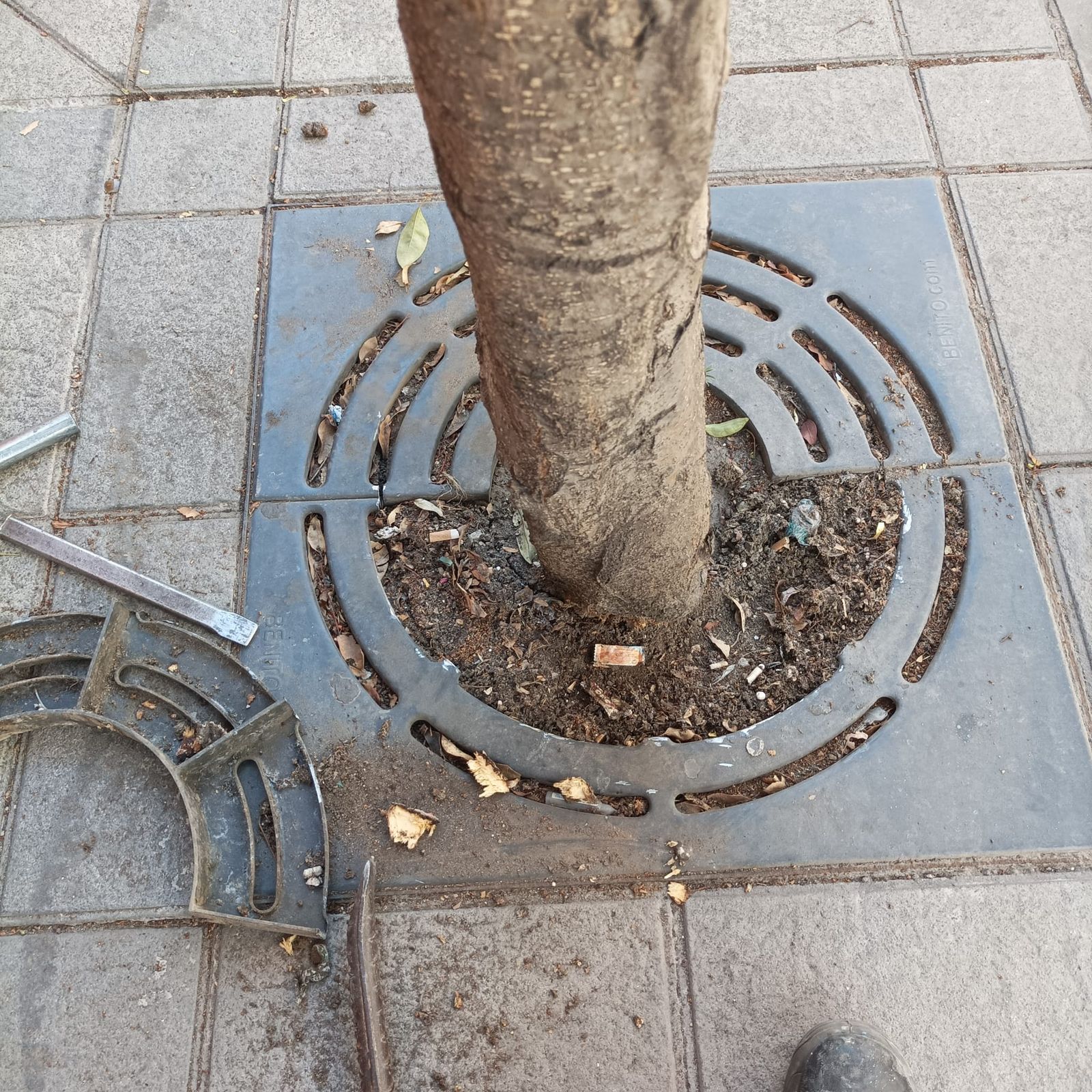 Uno de los cubre alcorques.