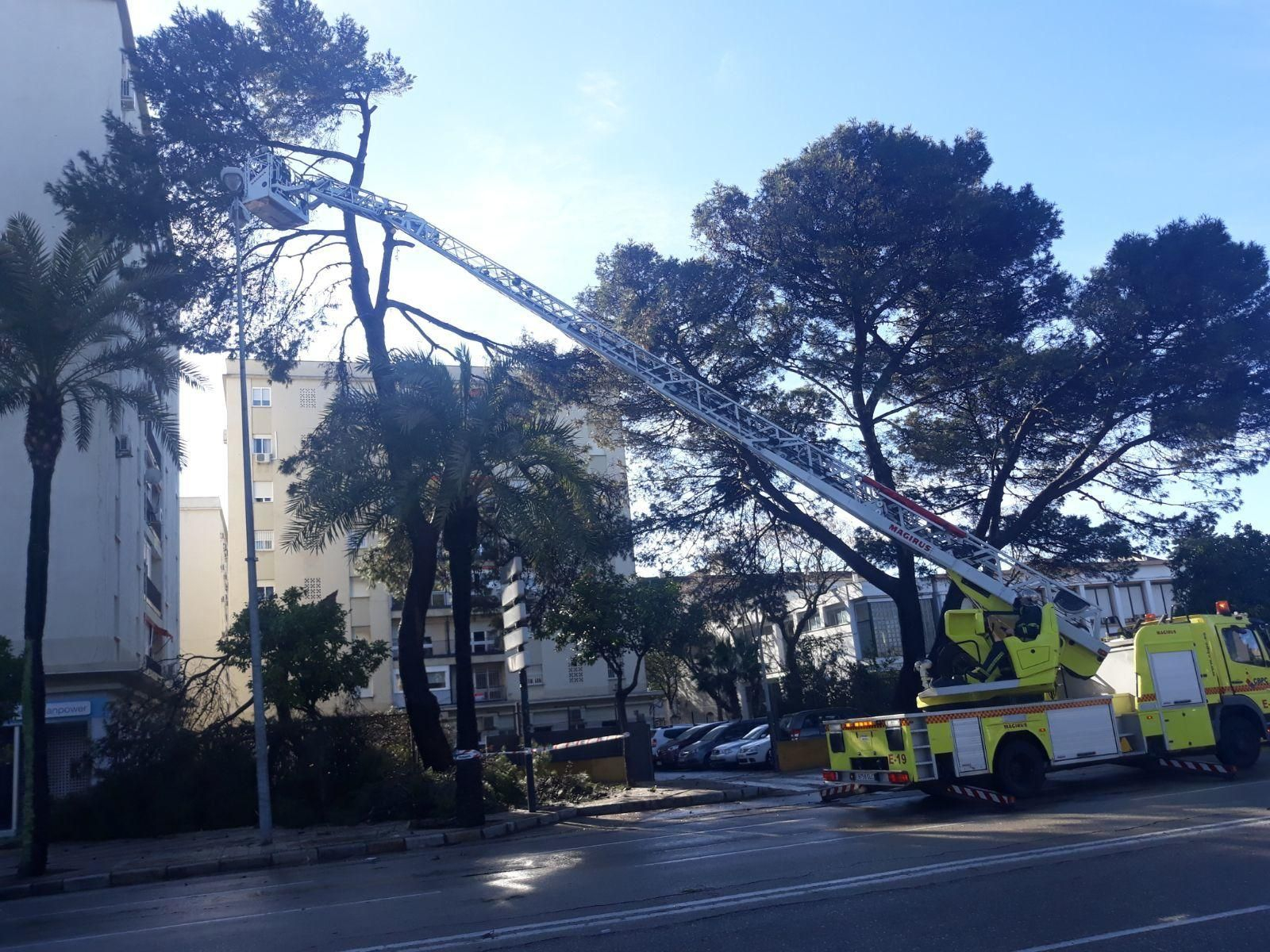 Las imágenes del paso del tornado en Jerez