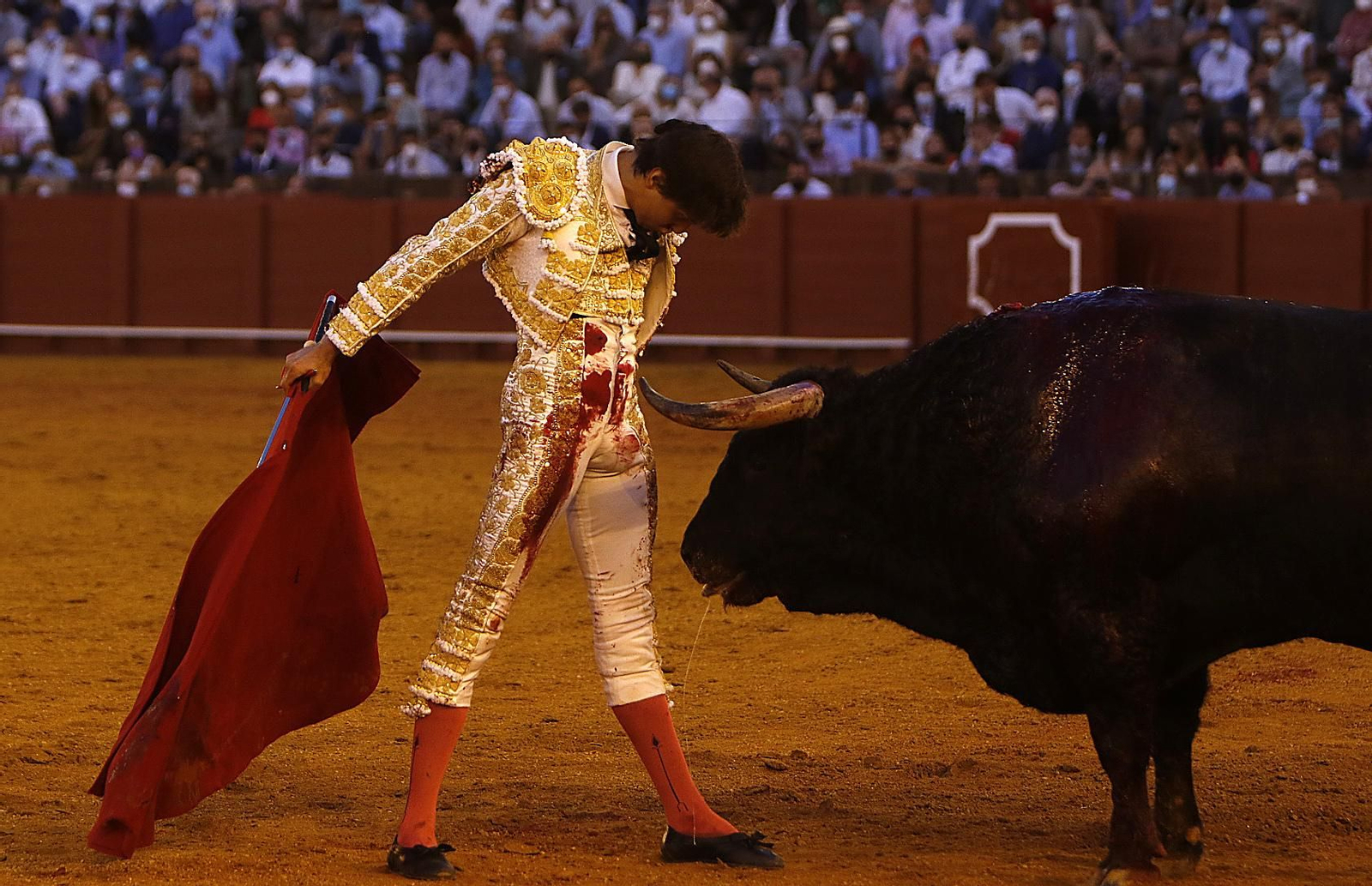 TOROS