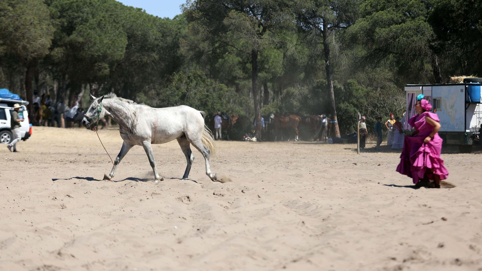 Jueves de camino de la Hdad de Jerez por el Coto Doñana