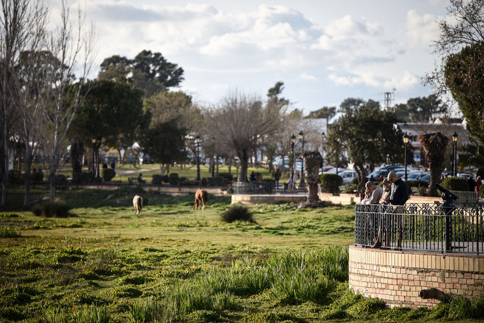 Imágenes del ambiente en la Aldea de El Rocío el domingo 26 de febrero
