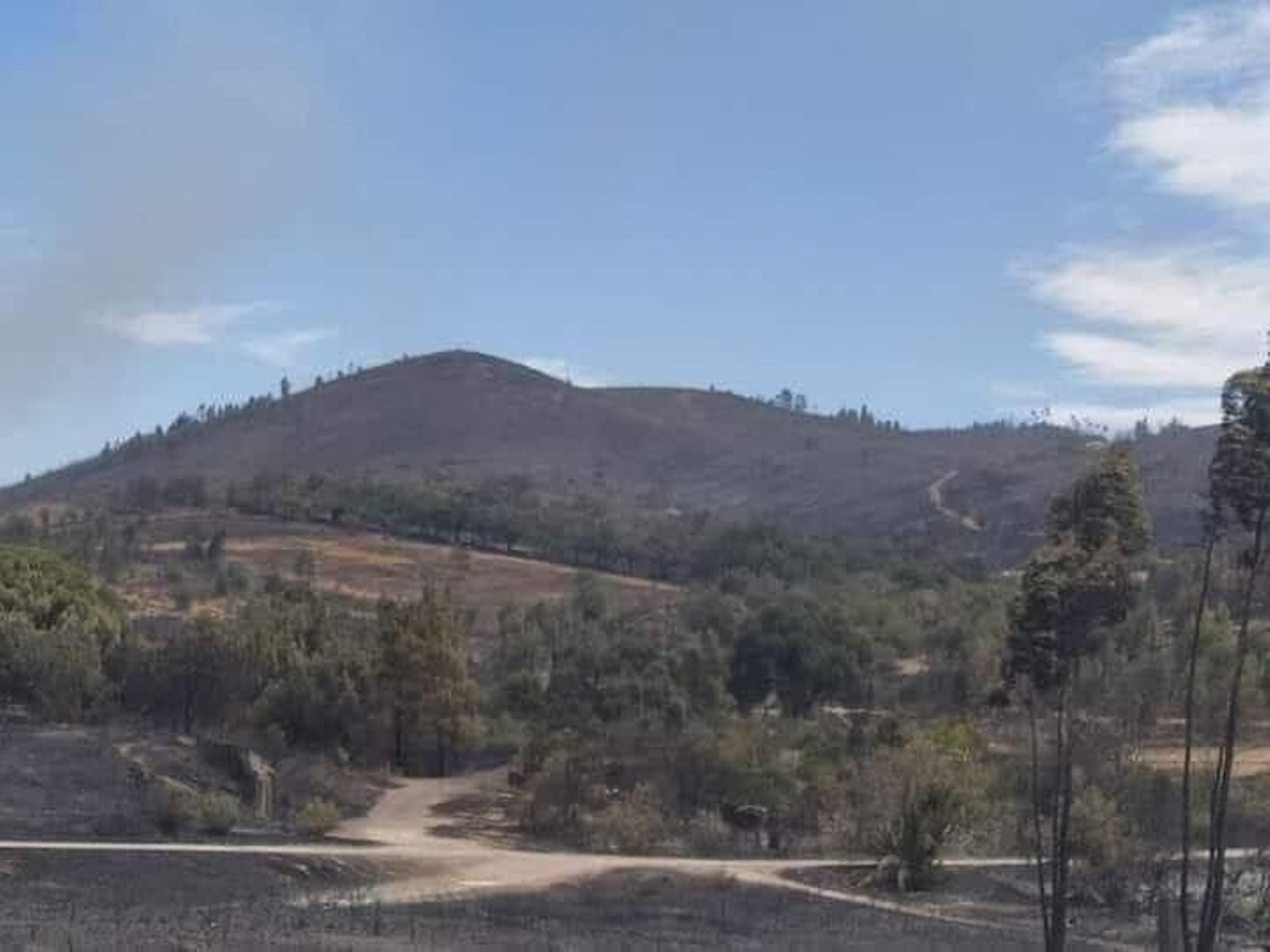 Zona quemada en el incendio de Almonaster