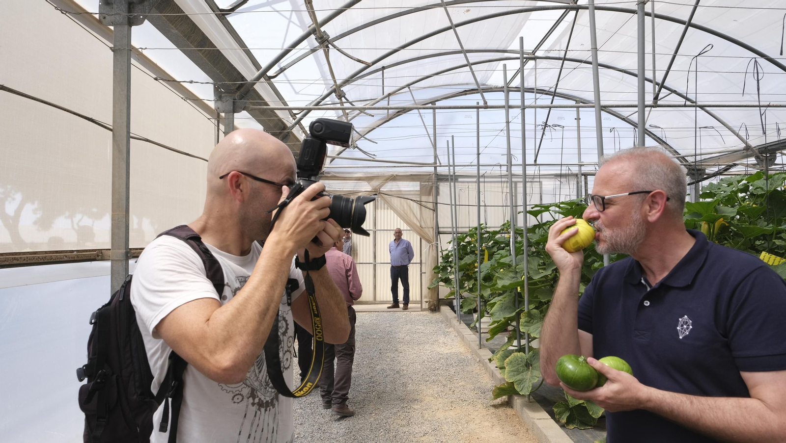 Presentación del nuevo producto de Beyond Seeds, Zucchielo, en el IFAPA de La Mojonera