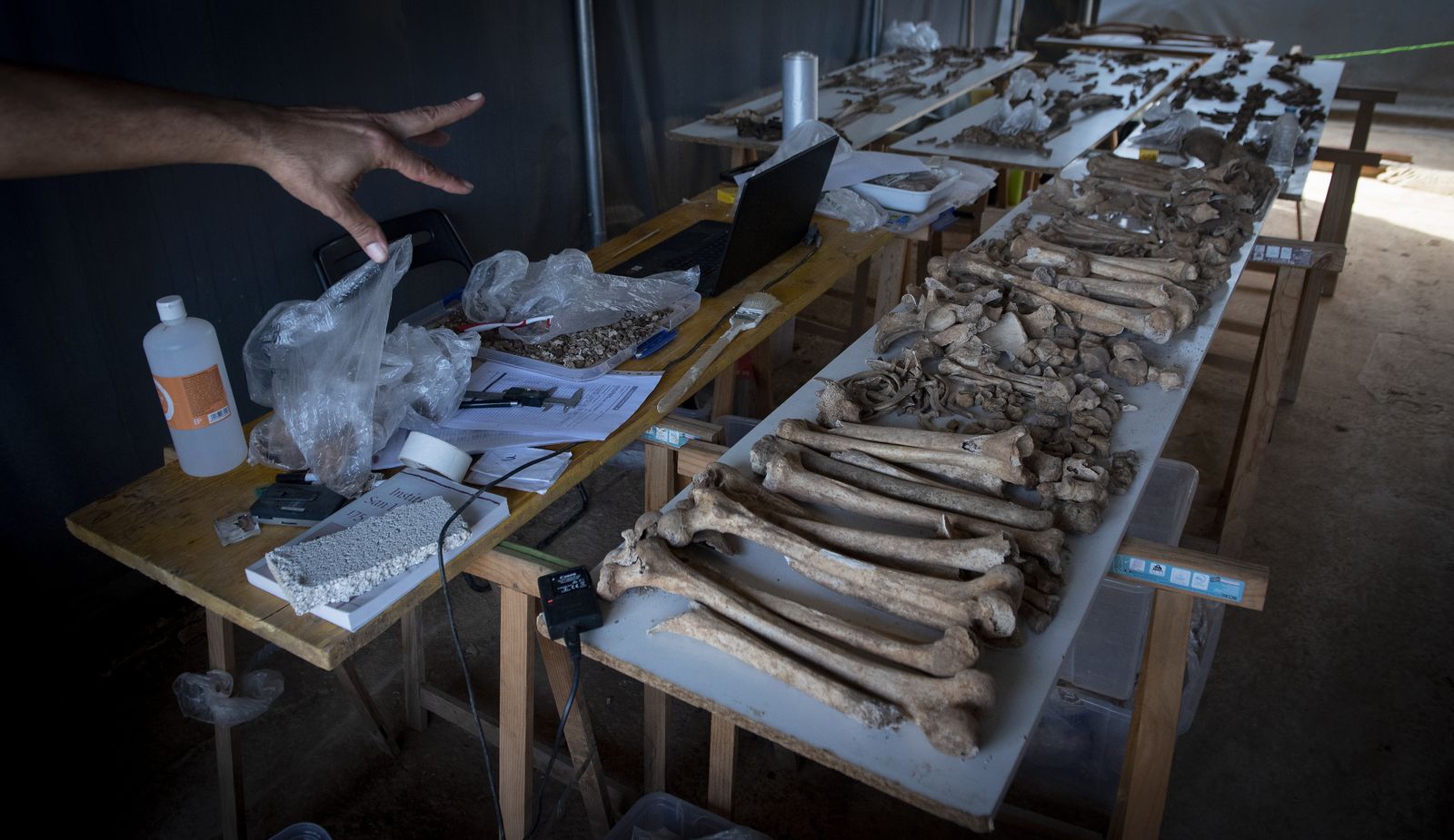 Imágenes de la fosa común de Pico Reja, en el cementerio de San Fernando