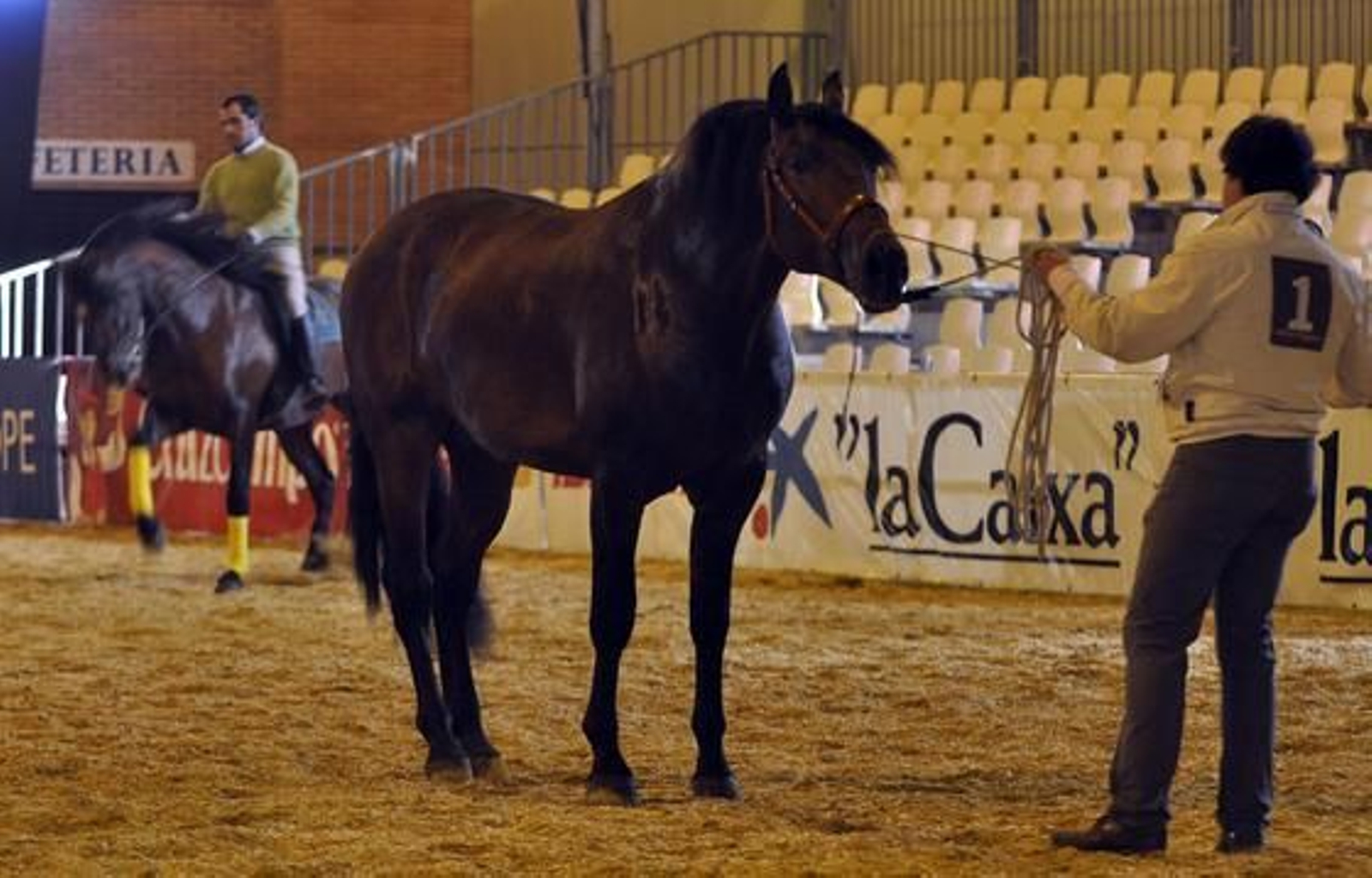 Preparativos y ensayo general del Sicab en Fibes. /Manuel Gómez