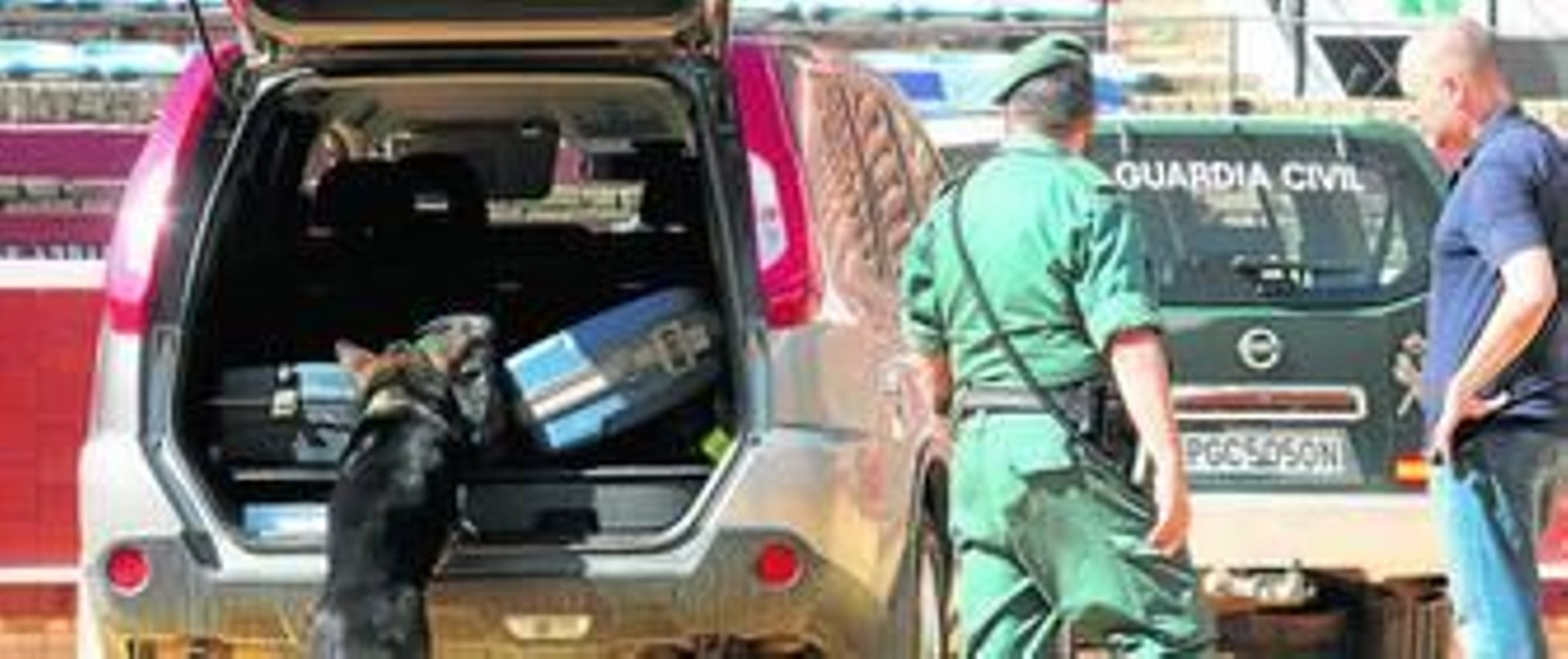 Un perro de la Guardia Civil examina unas maletas durante una demostración.