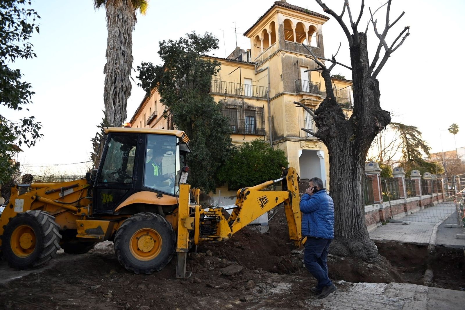 El trasplante del olmo centenario del Marrubial al parque de los Teletubbies de Córdoba, en imágenes