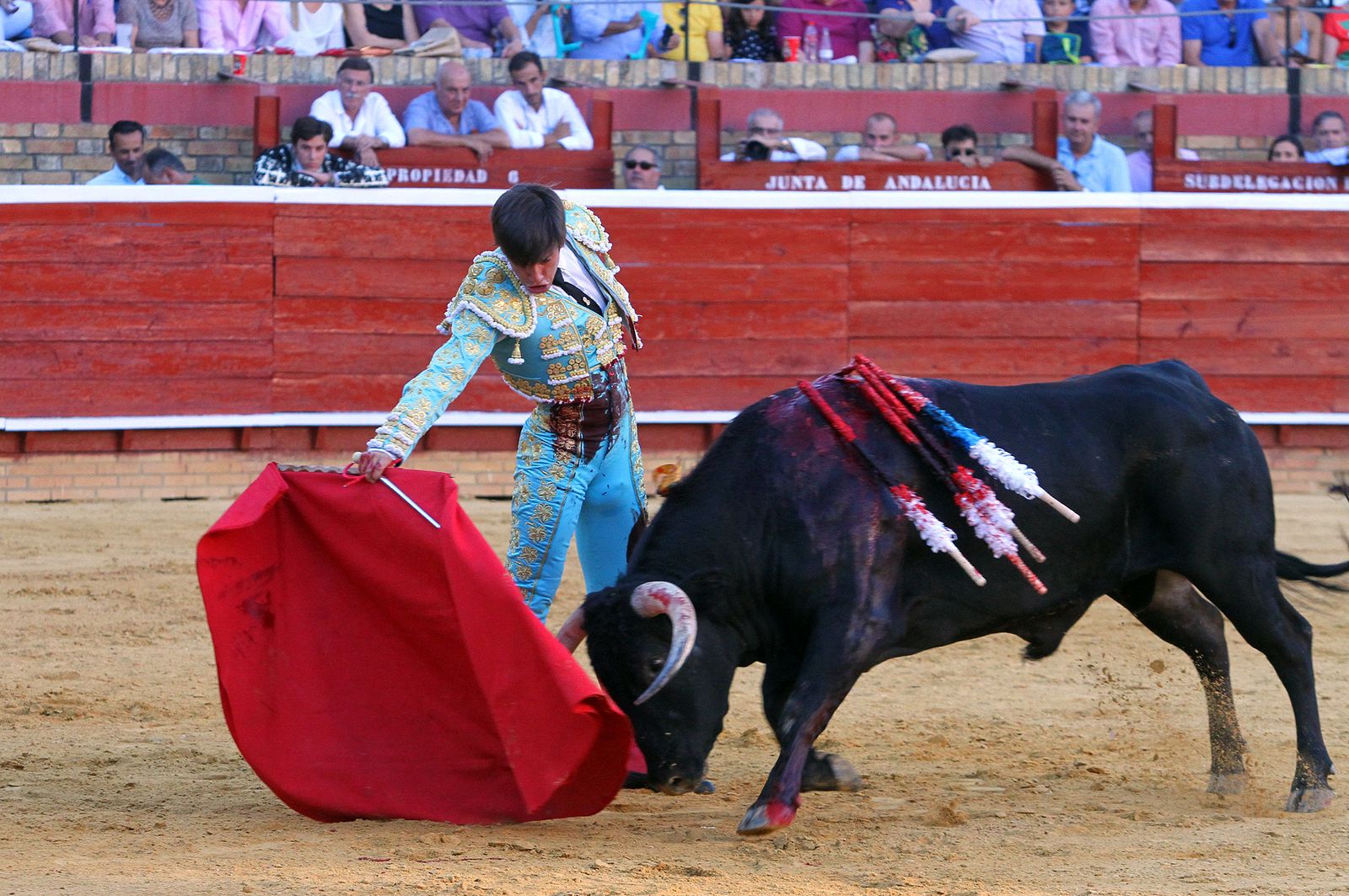 Imágenes de la Novillada de Rafael Serna, Emilio Silvera y Rodrigo Molina.
