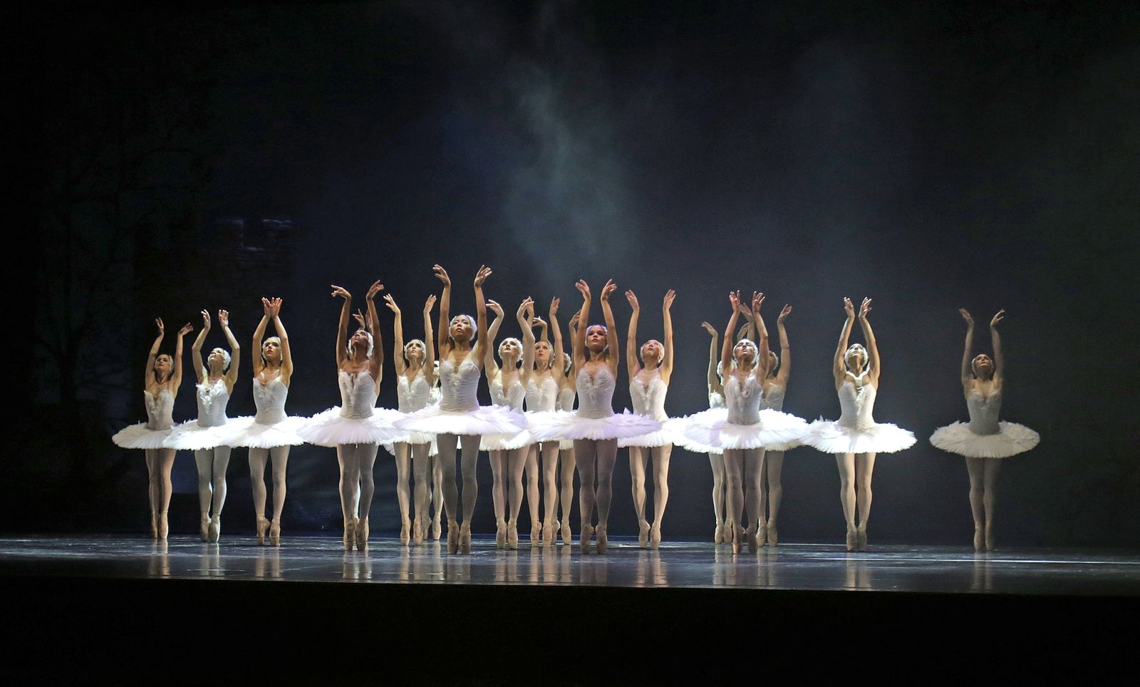 EL LAGO DE LOS CISNES