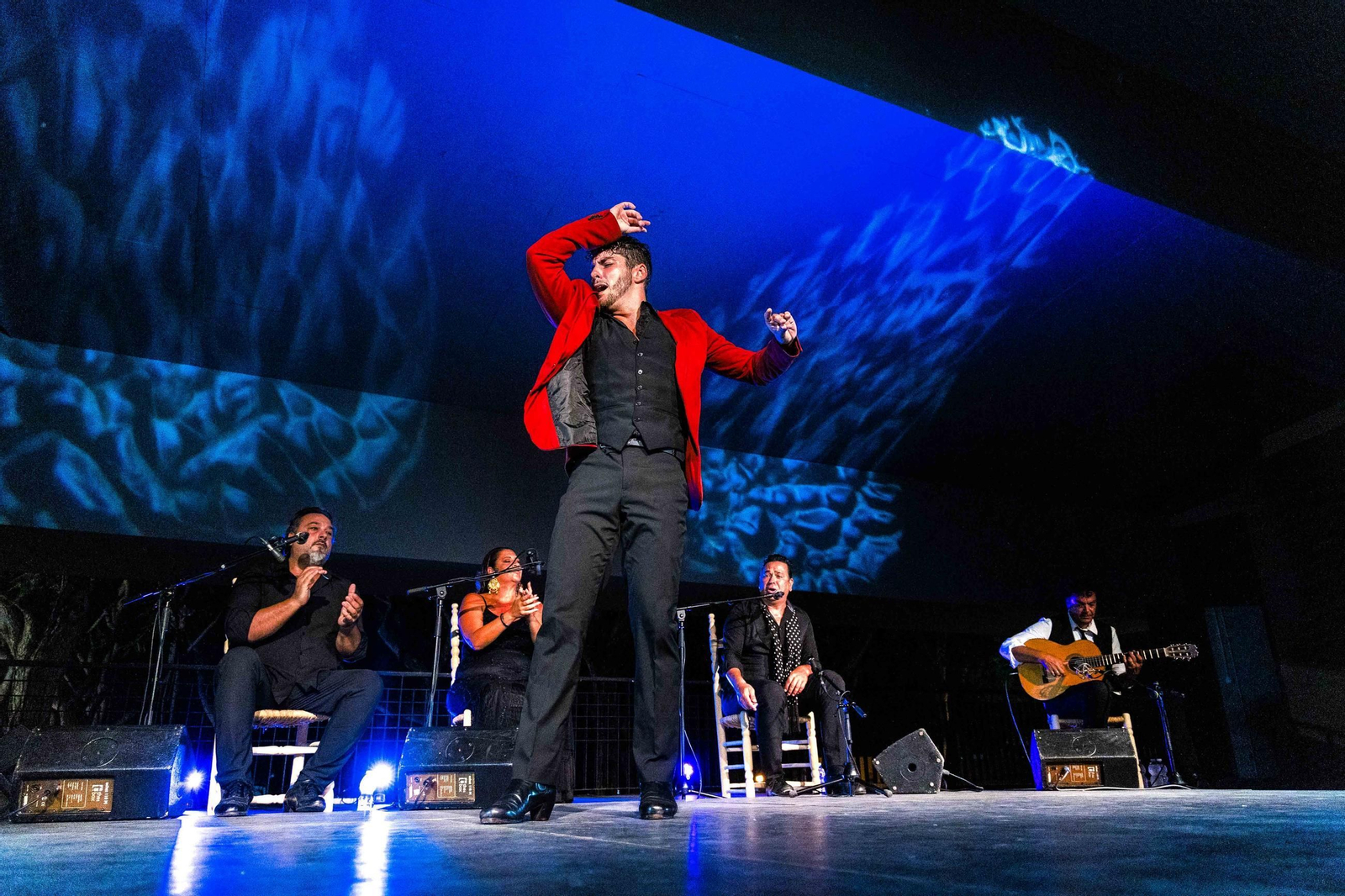 La Isla Ciudad Flamenca: Noche de baile en el Parque de San Fernando