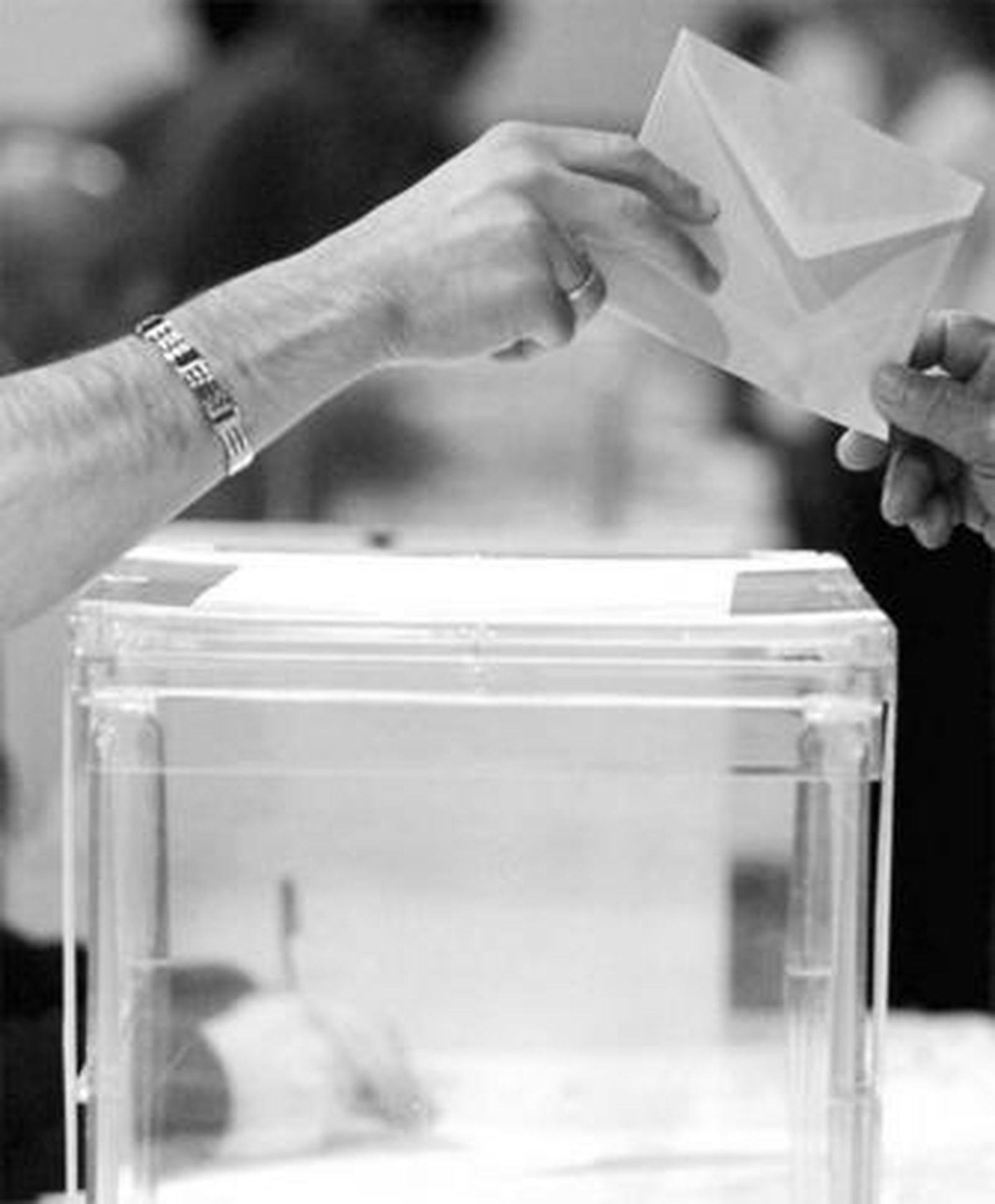 Las primeras elecciones en la que los inmigrantes podrían votar sería en las municipales de 2011.