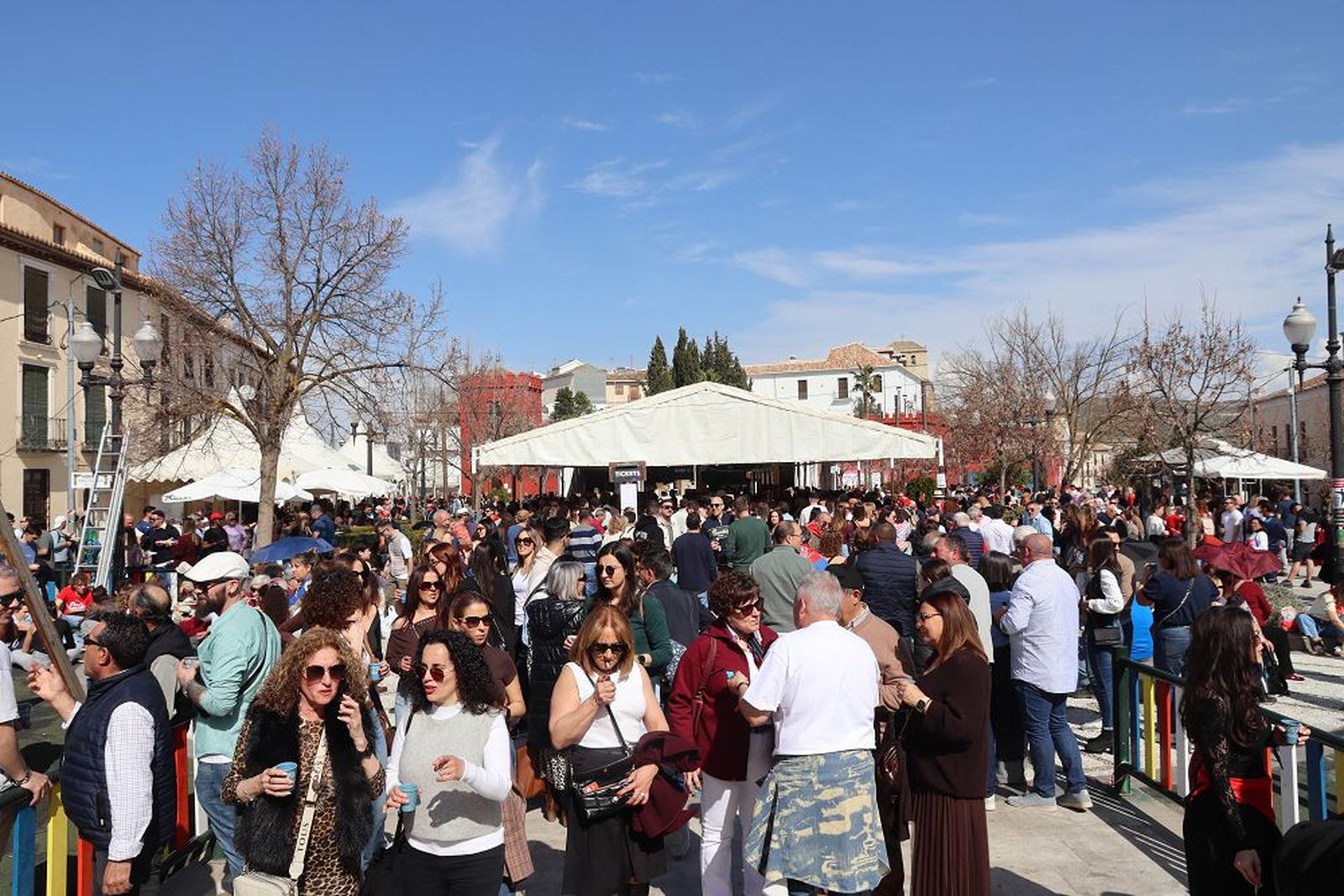 Imagen del ambiente durante la celebración de la XIII Fiesta del Vino de Alhama de Granada