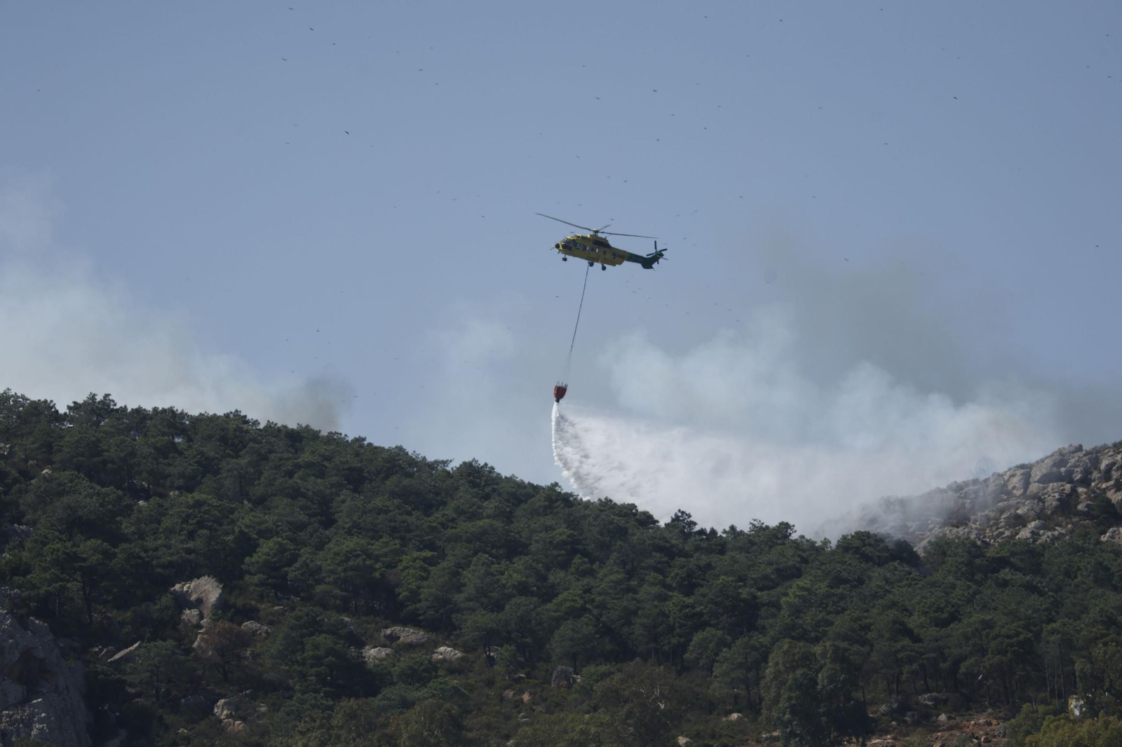 Imágenes del incendio de Tarifa, el segundo en menos de una semana