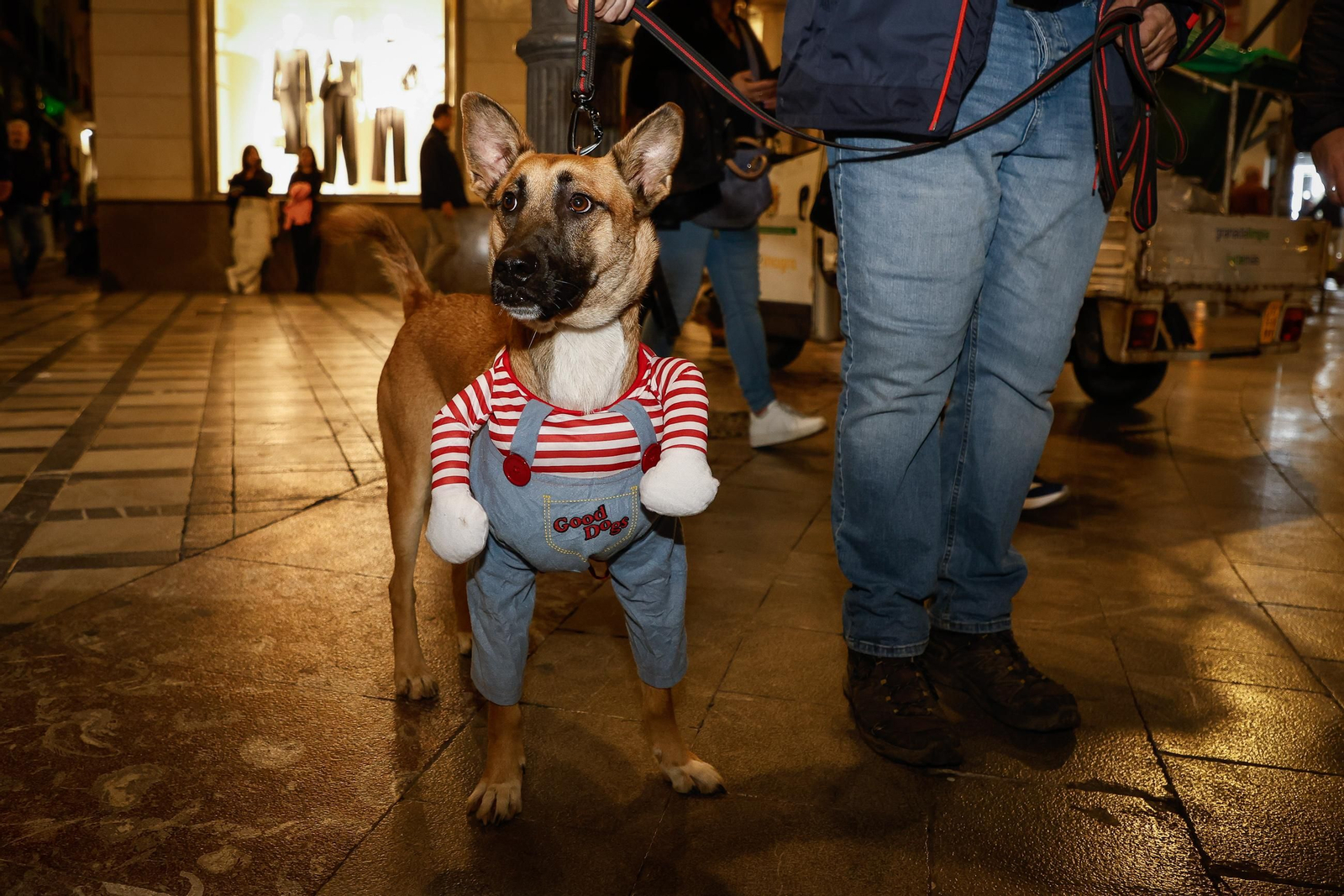 Granada se disfraza para vivir la noche mas terrorifica del año