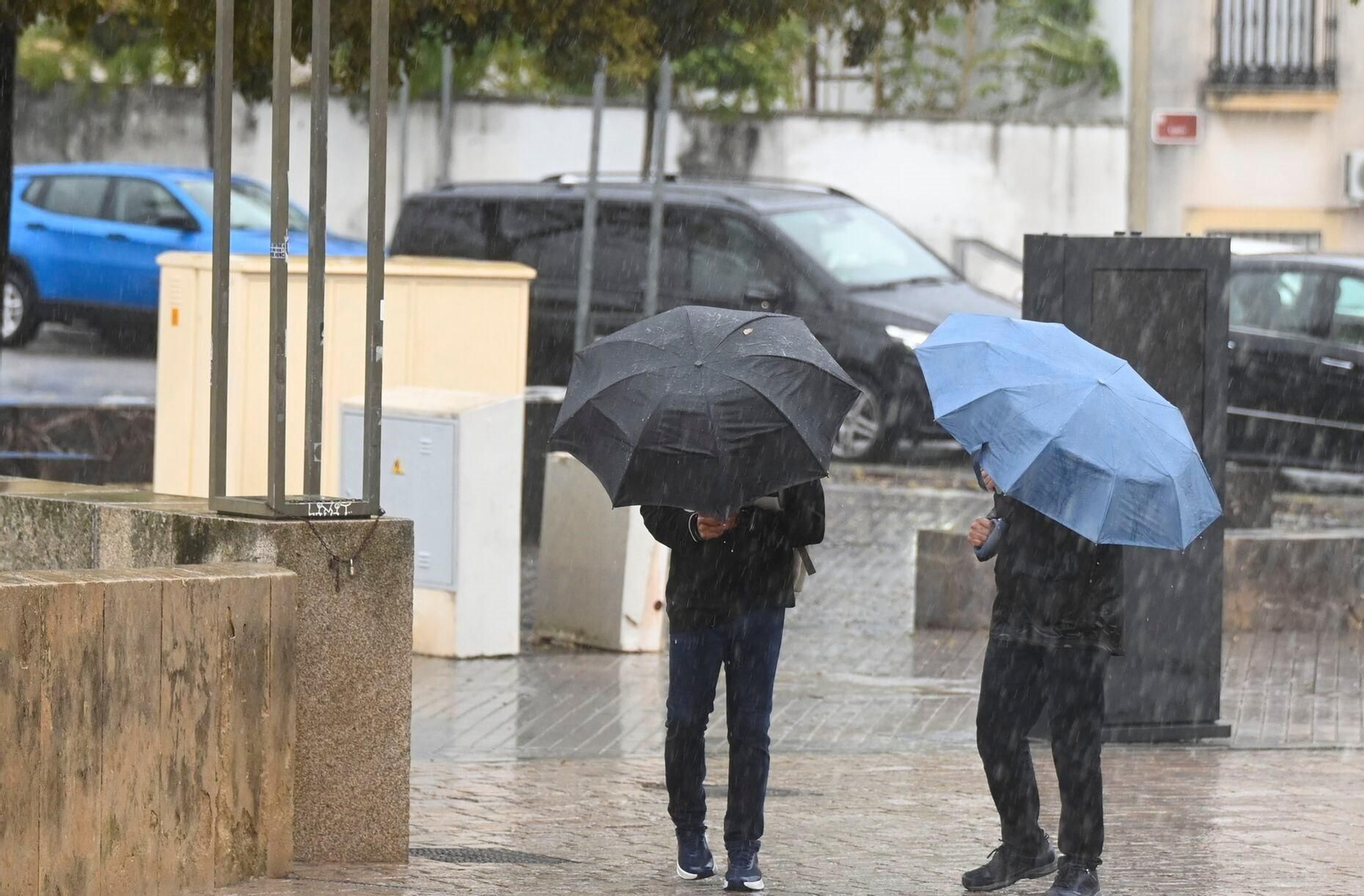 El paso de la borrasca Claudia por Córdoba en imágenes