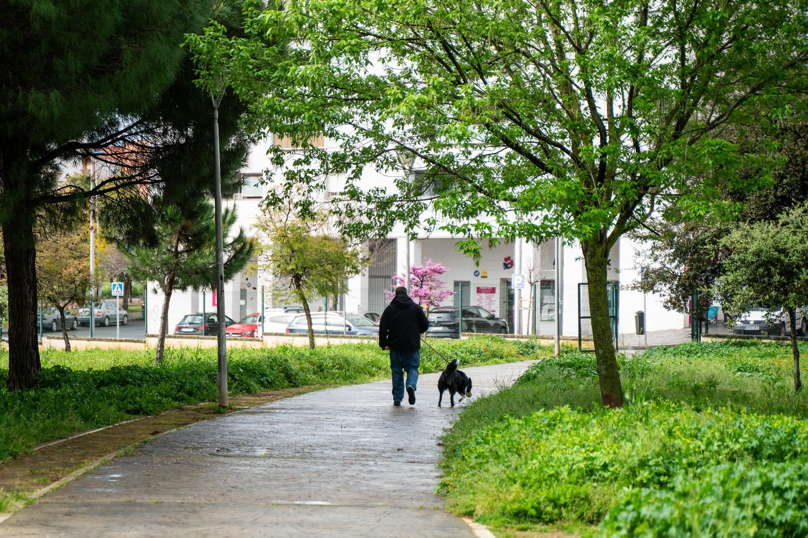 Imágenes del viernes 4 de abril en Huelva
