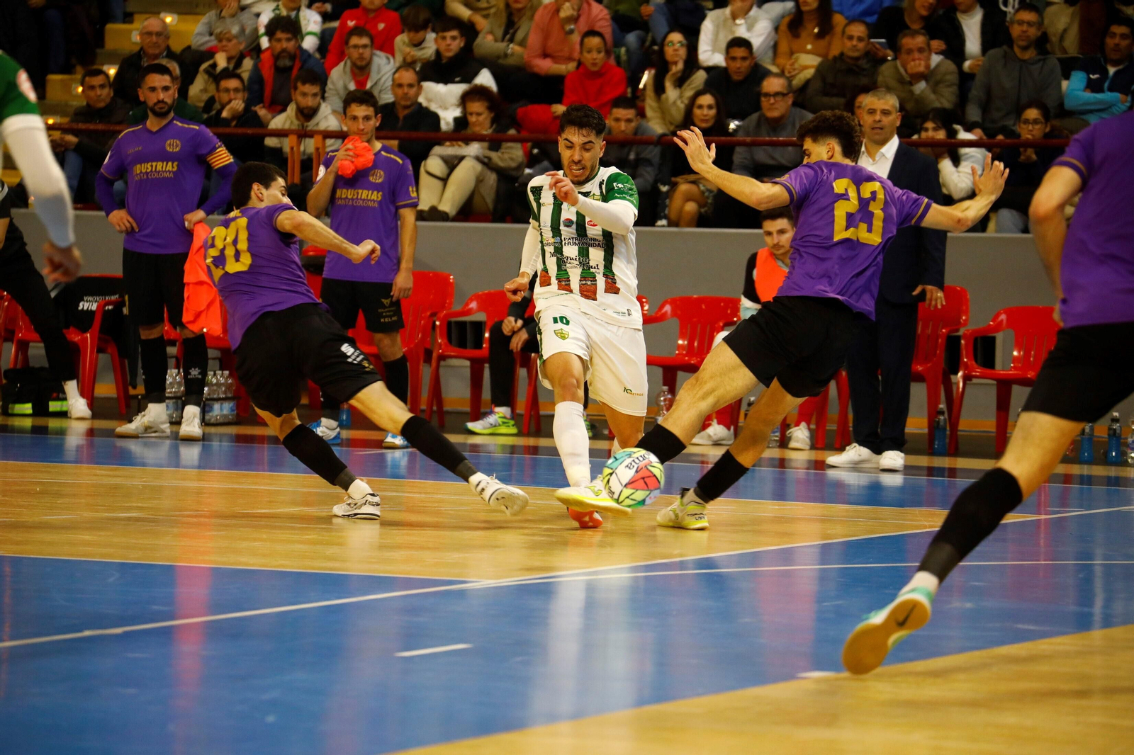Las mejores fotos del Córdoba Futsal - Industrias Santa Coloma en Vista Alegre