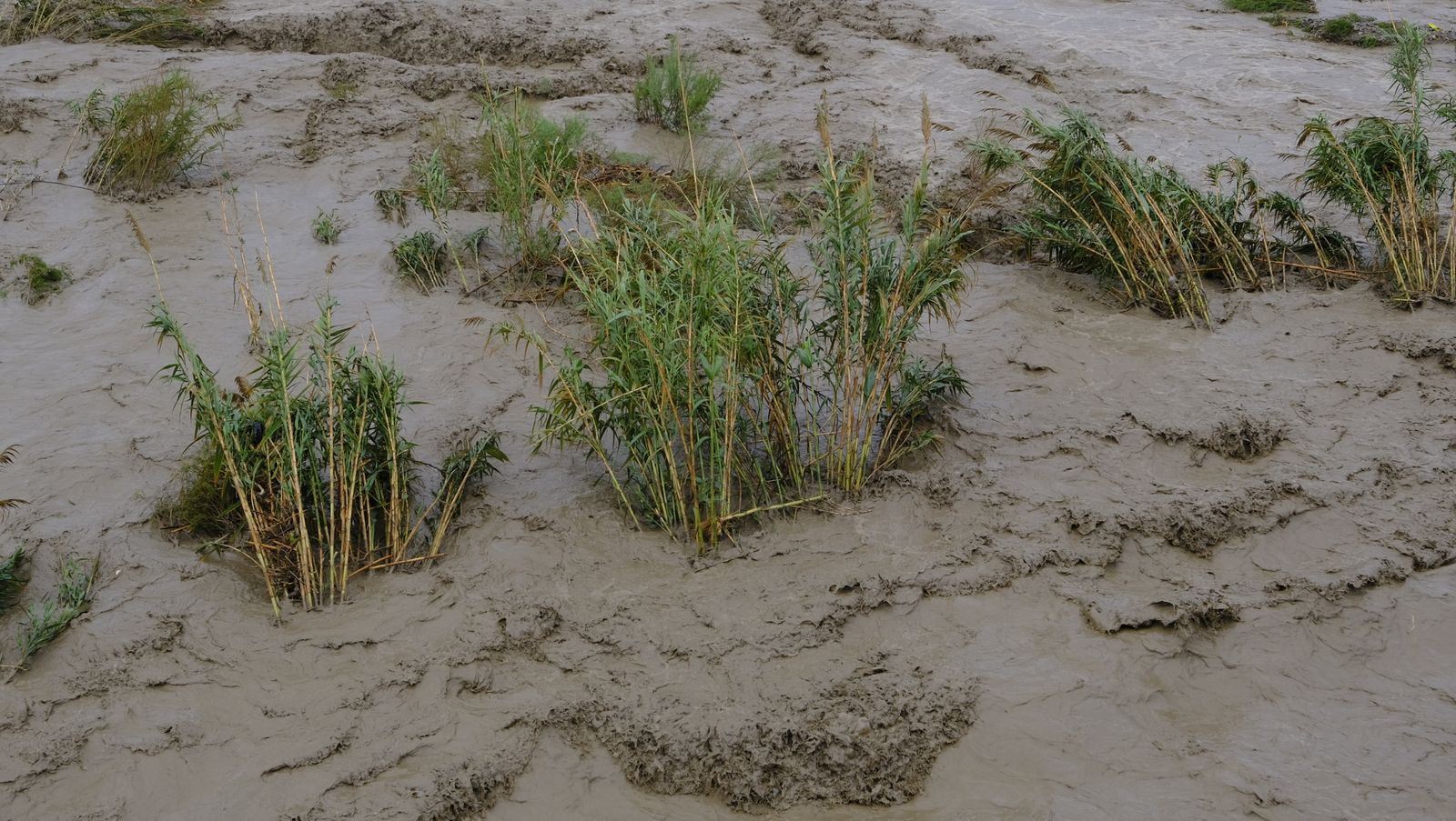 Fotogalería de las lluvias torrenciales en Almería
