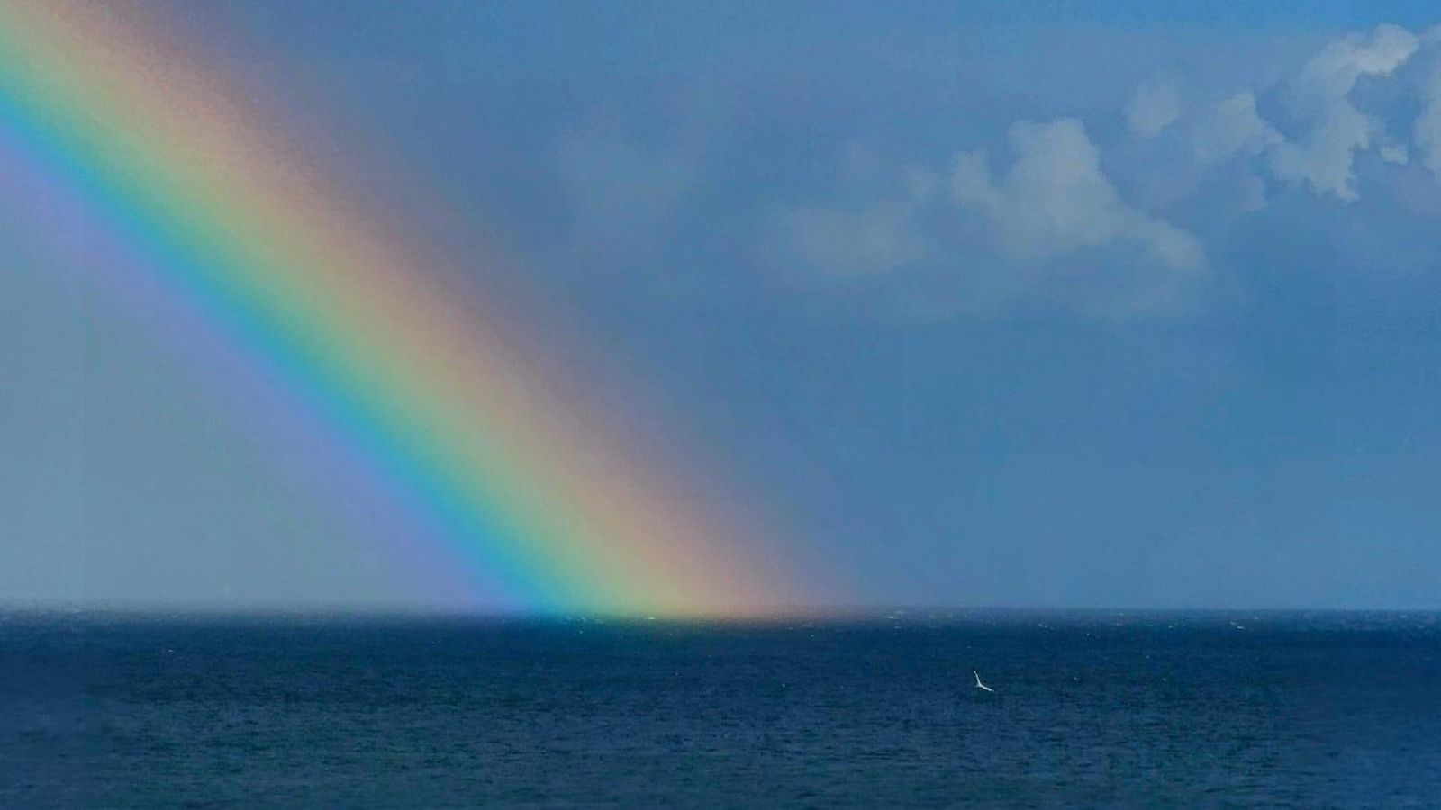 Arcoíris sobre la bahía de Algeciras.