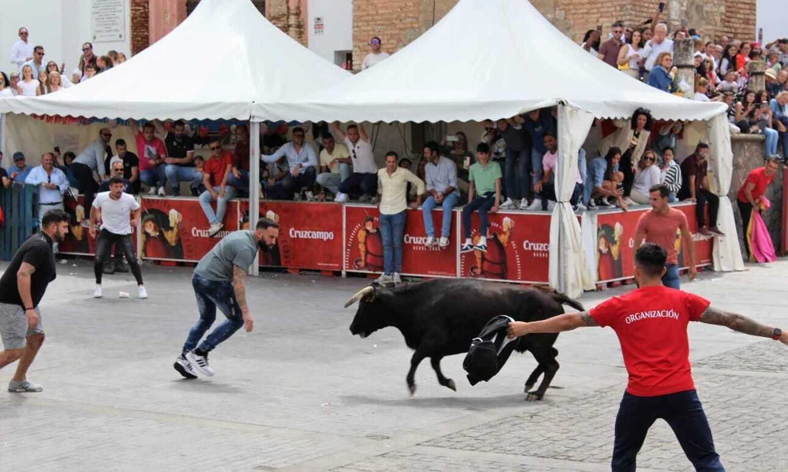 Festividad de San Jorge, patrón de Alcalá de los Gazules