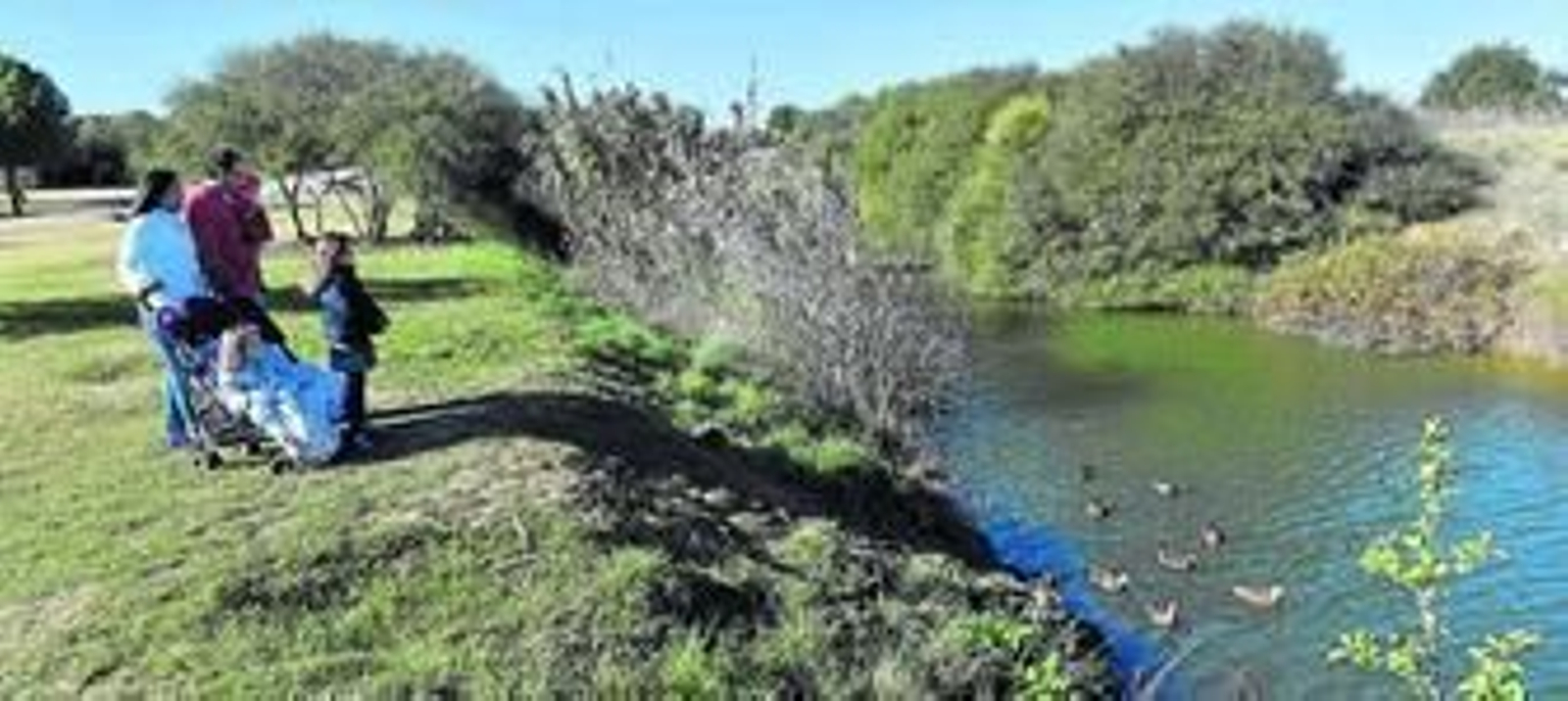Una familia observa a un grupo de patos nadando en un lago del Parque Tamarguillo, un humedal frente a la barriada Parque Alcosa.
