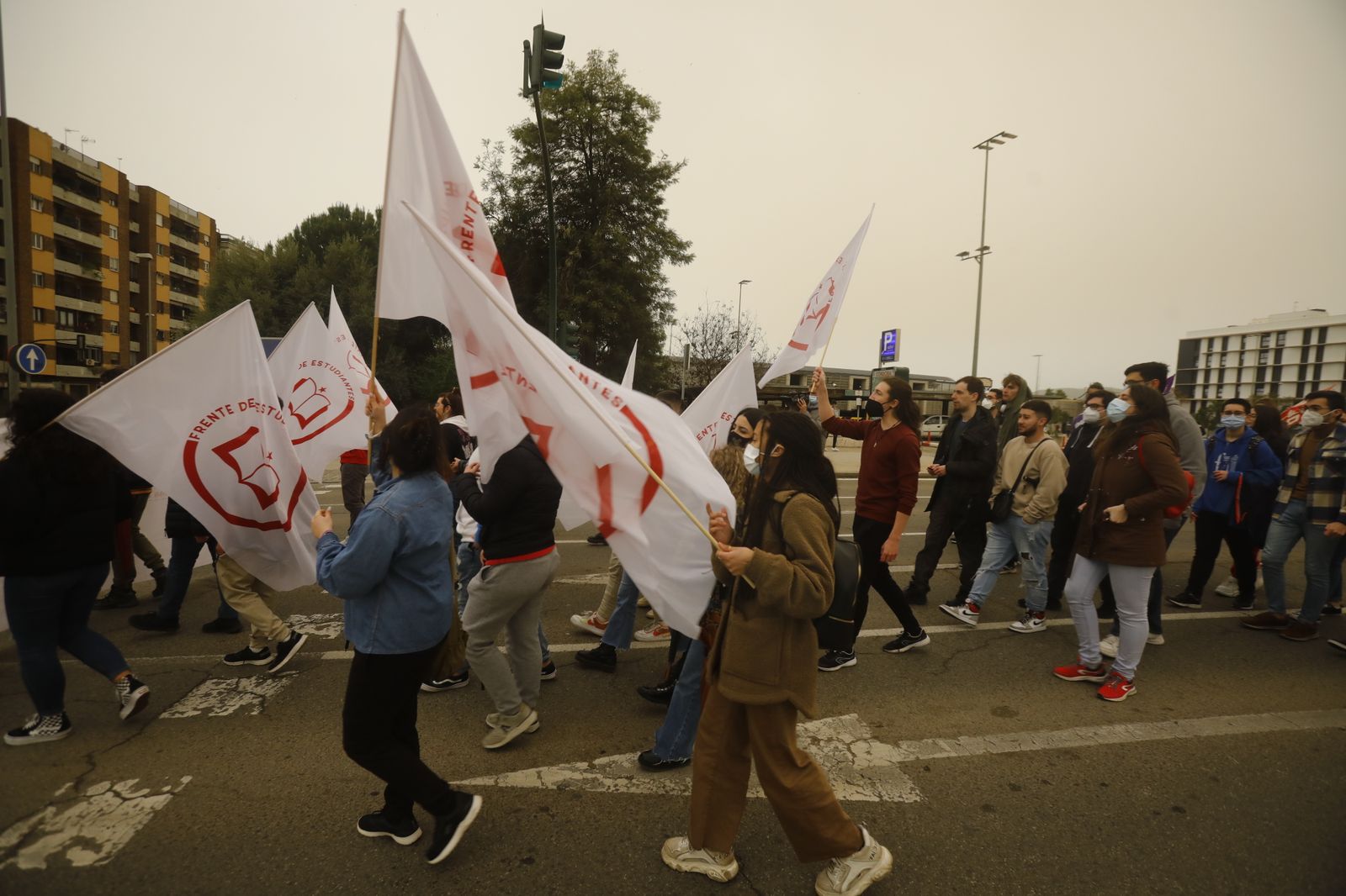 La manifestación estudiantil contra la reforma educativa, en imágenes