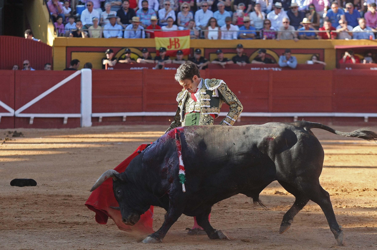 Las imágenes de la reaparición de José Tomás en Algeciras