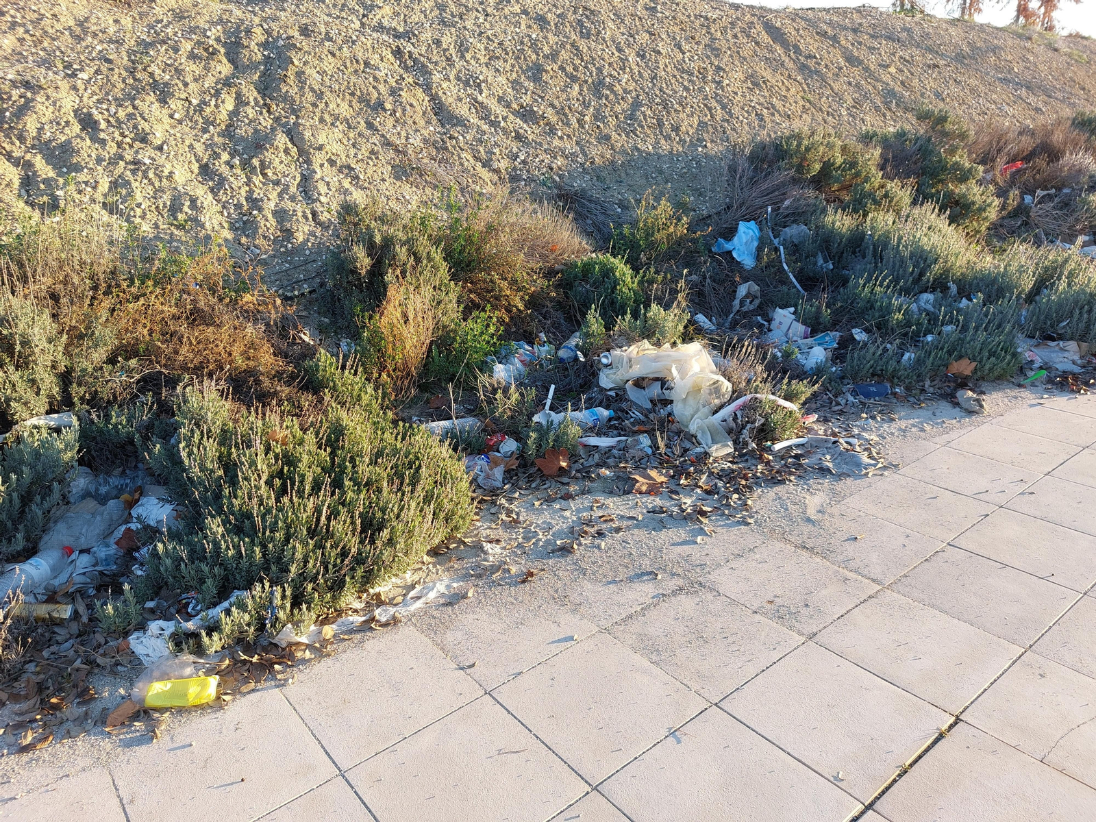 Inmediaciones del Jaén Plaza.