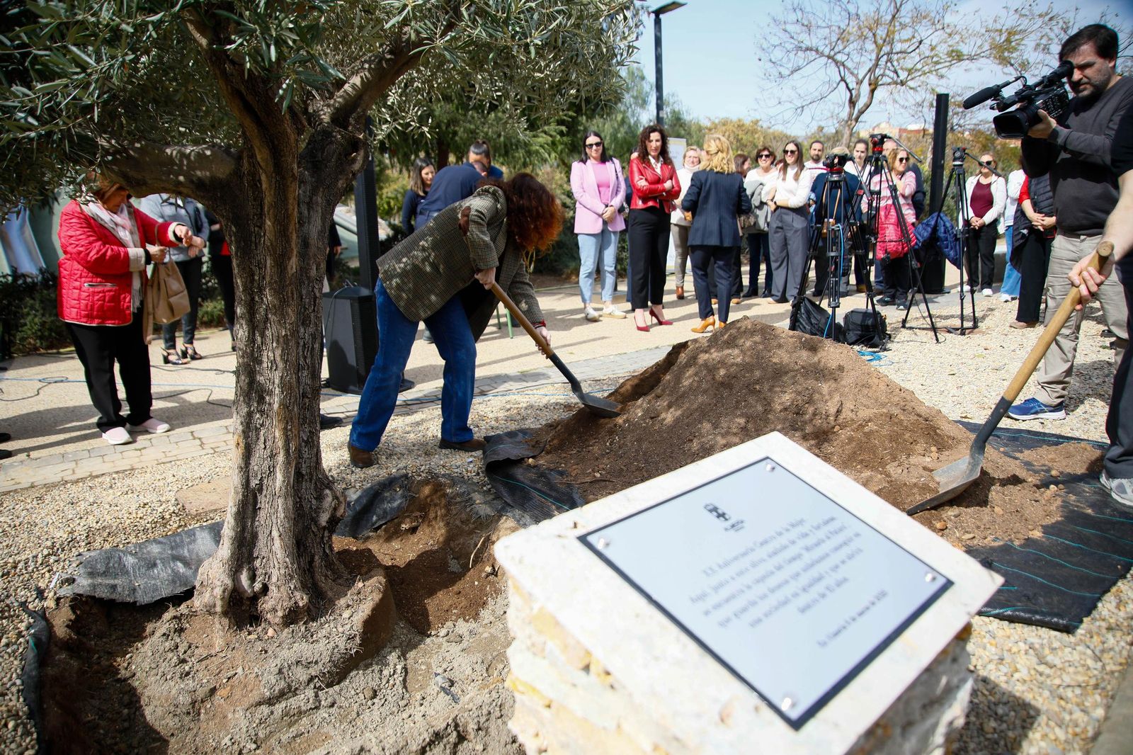 Las imágenes de la plantación de un olivo y el entierro de una cápsula del tiempo