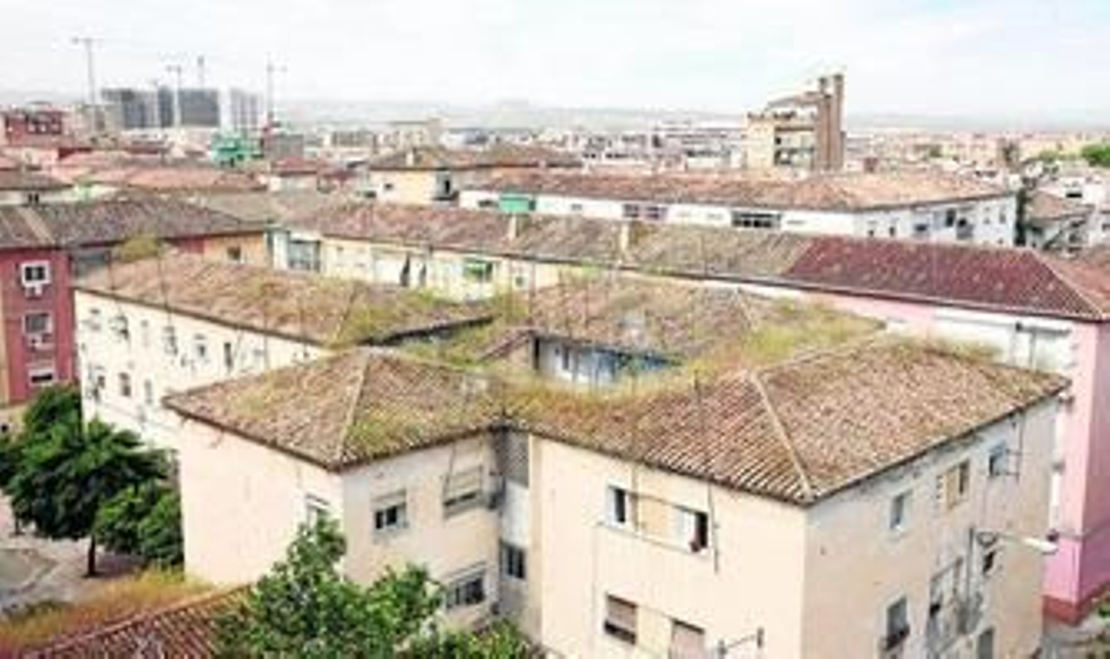 Los edificios acumulan en sus tejados numerosos matorrales que hacen que el agua se quede en las cubiertas.