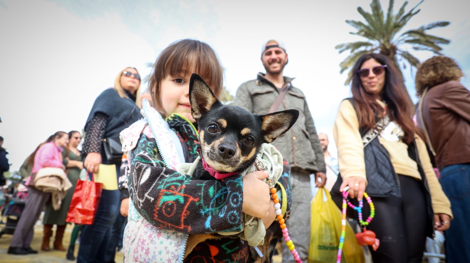 Fiesta de san Antón 2024 en Jerez