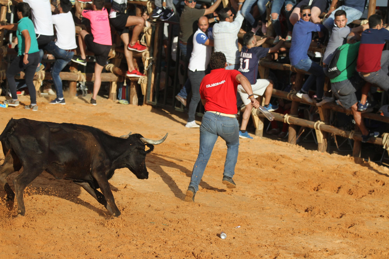 Comienzan las capeas en San Juan del Puerto