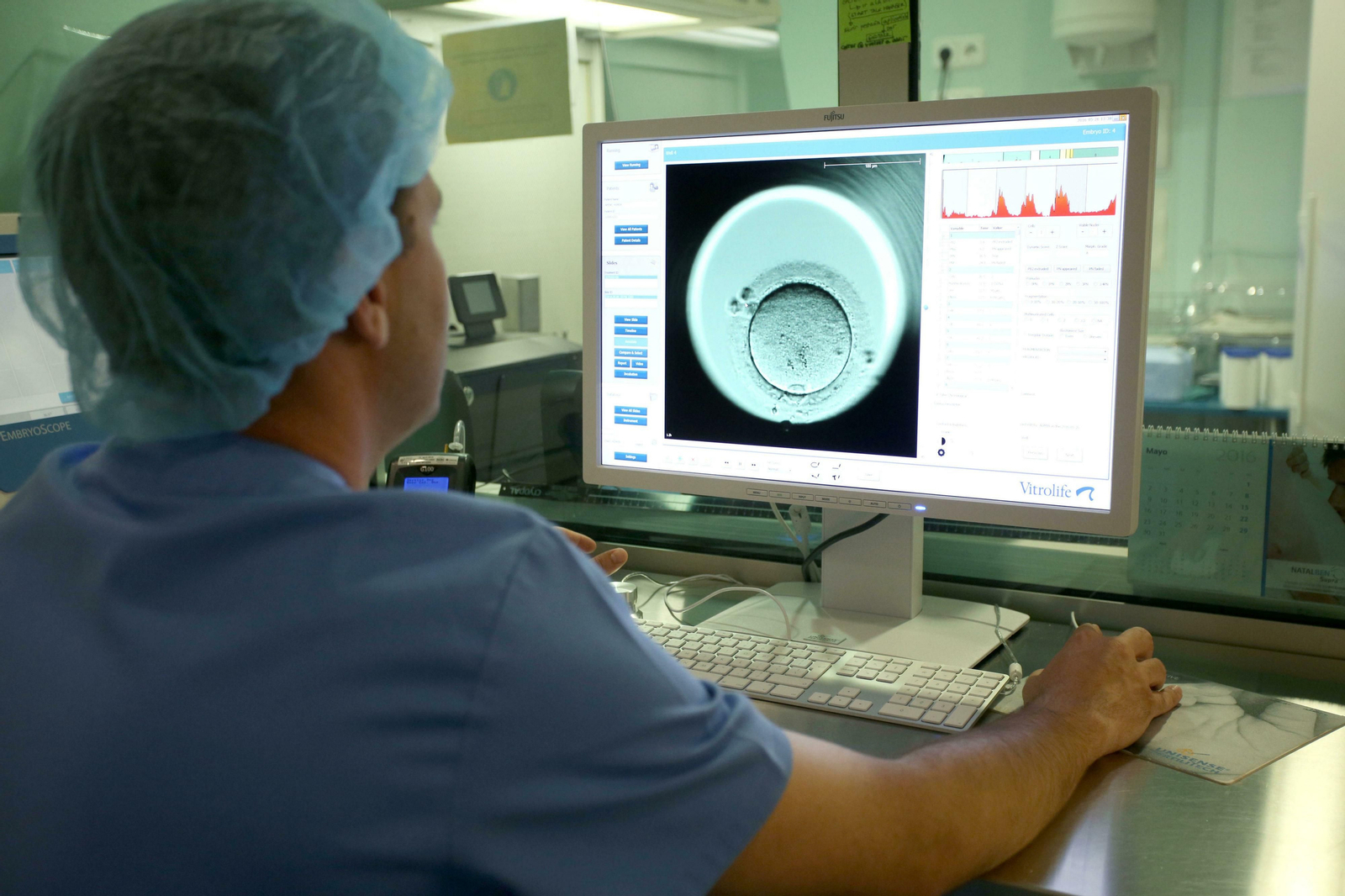 Un profesional del Centro Gutenberg observa un embrión.