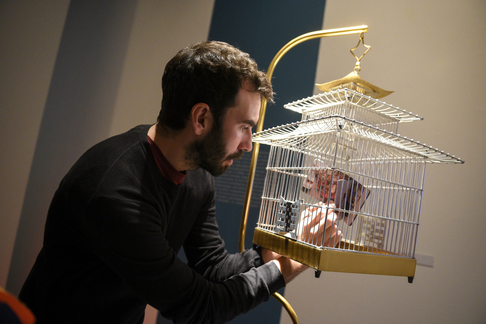 FACBA 2019, iceberg creativo