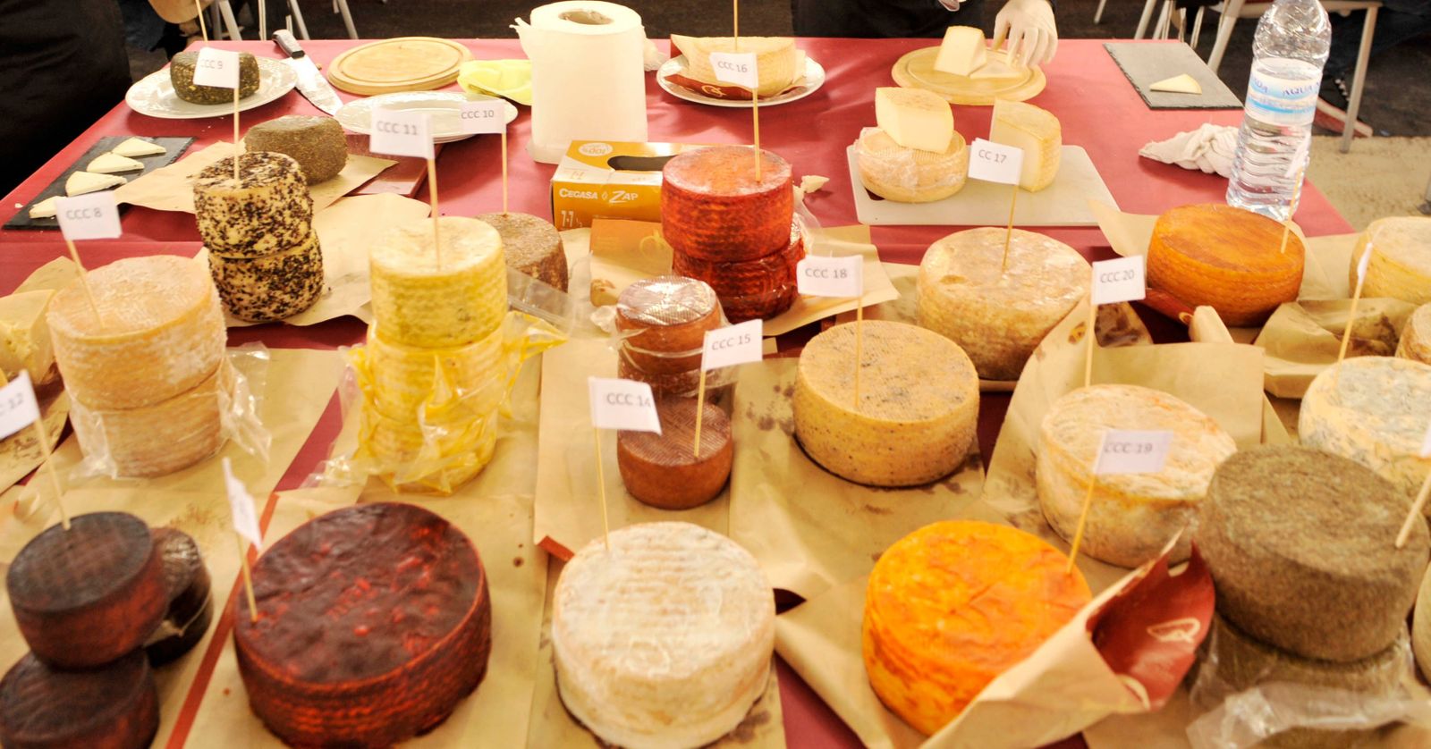 Varios quesos en exposición.