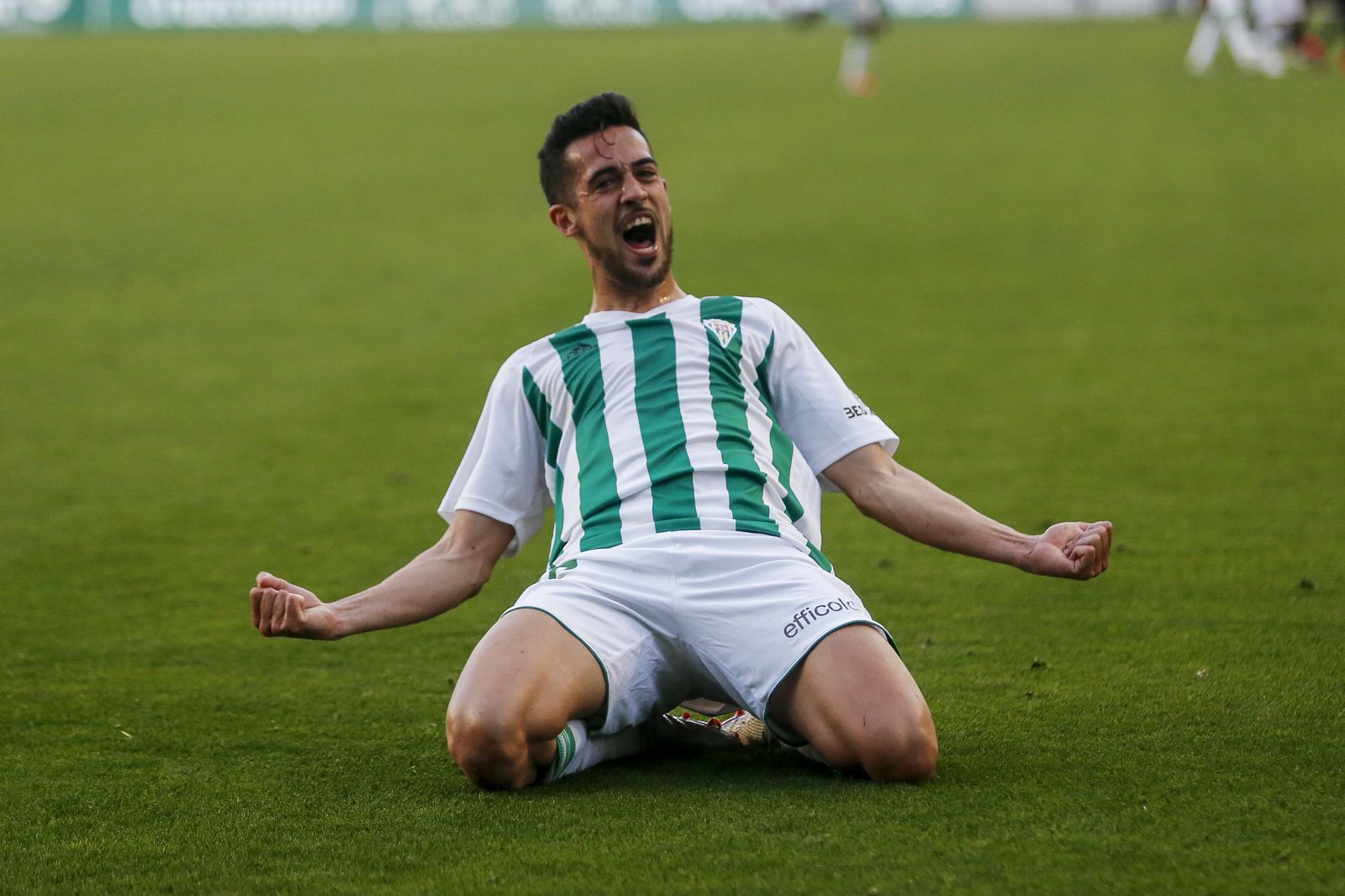 Las fotos del Córdoba CF - Sevilla Atlético