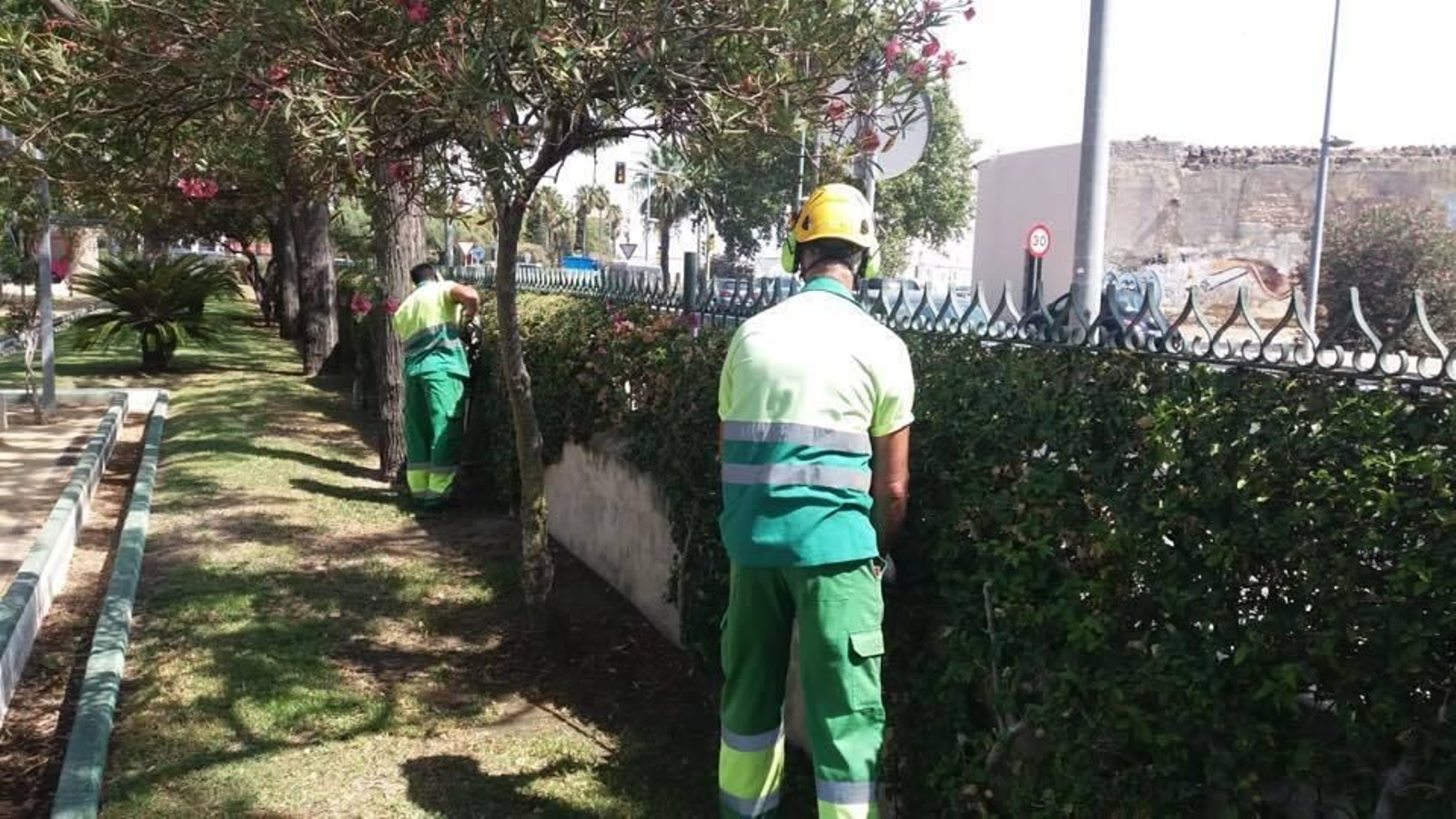 Trabajadores del servicio municipal de Gestión Integral del Paisaje Urbano.