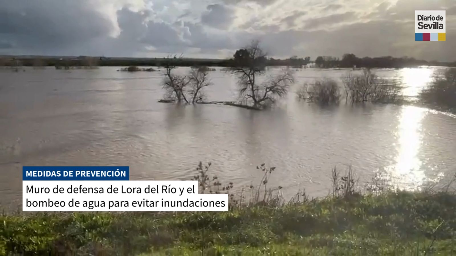 Continúan los trabajos para terminar