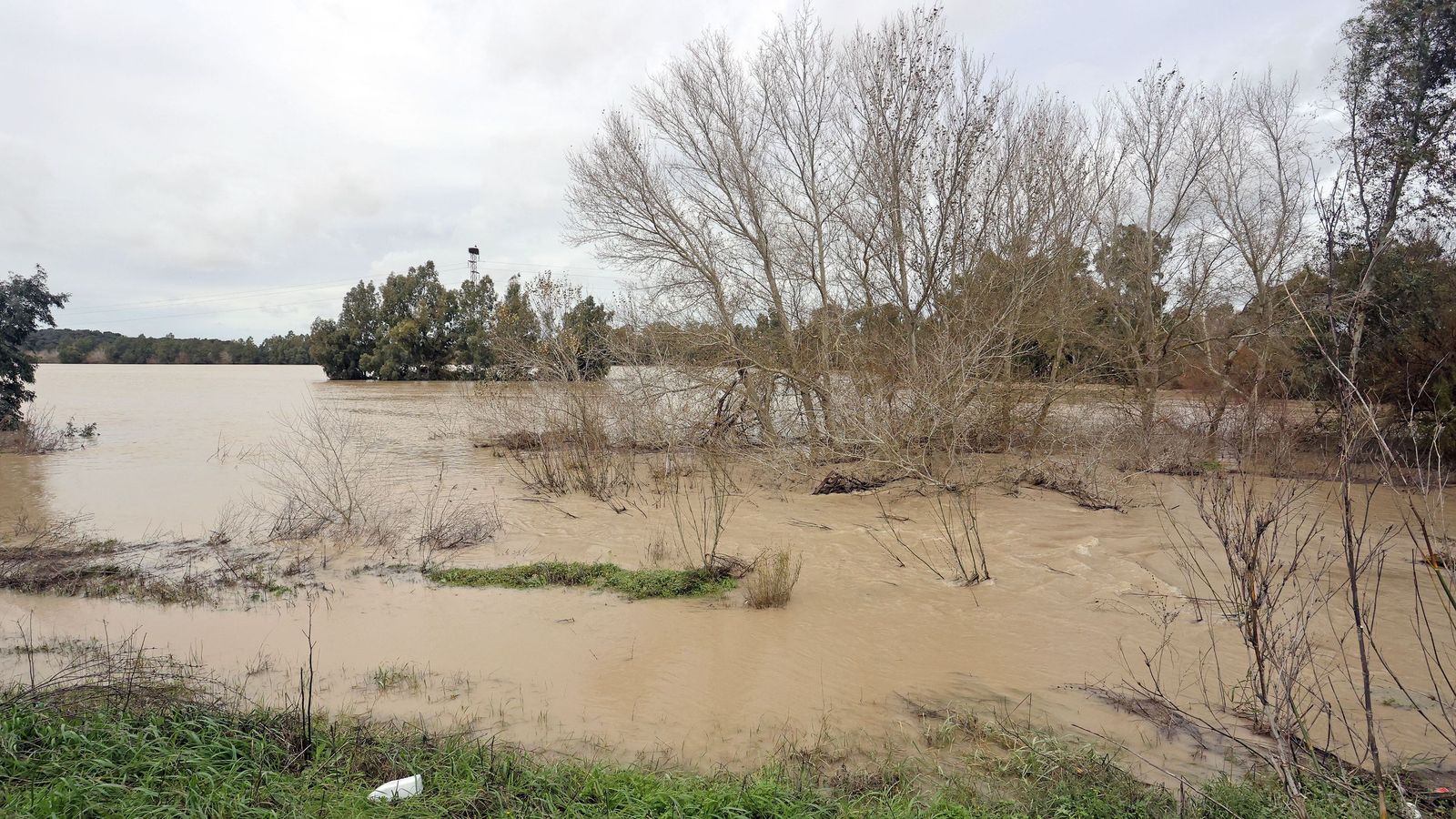 El Guadalete comienza a bajar su nivel poco a poco por la zona rural de Jerez
