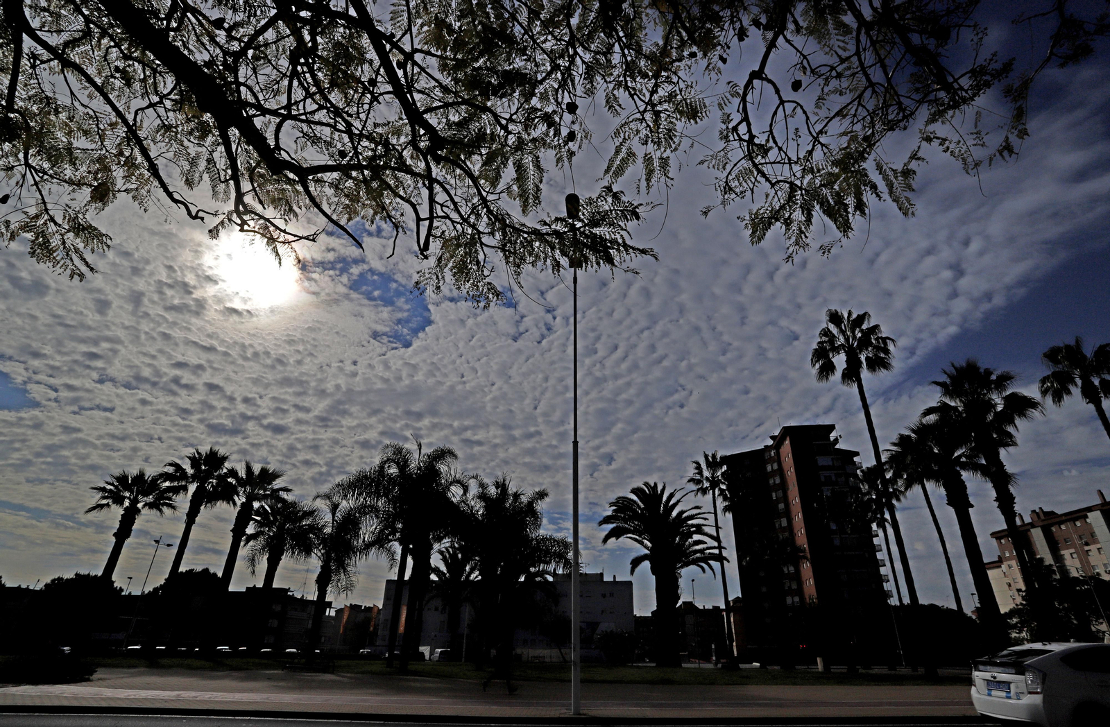Las imágenes más destacadas del lunes 19 de abril en Huelva