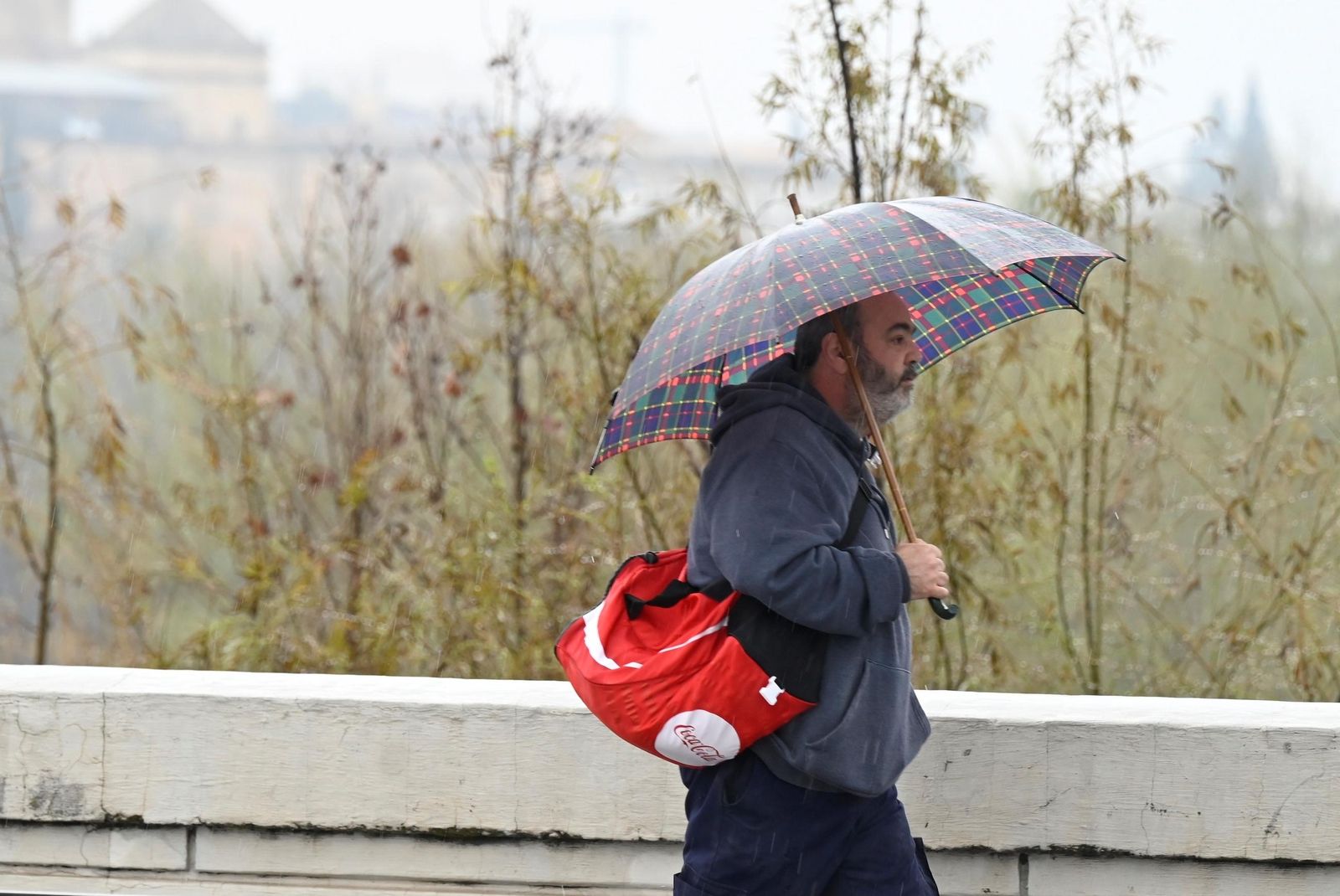Las imágenes del Día de Andalucía pasado por agua en Córdoba