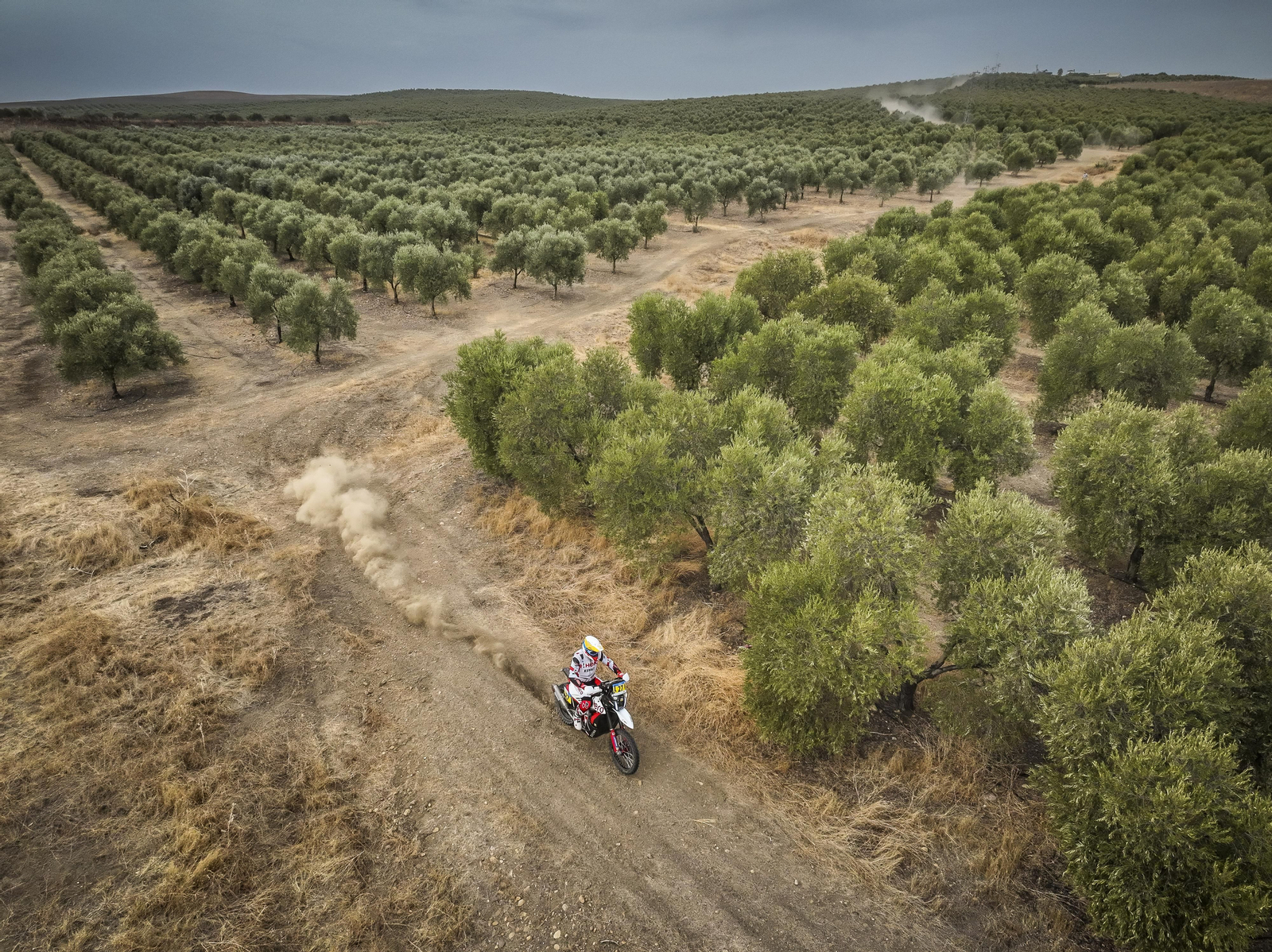 Andalucía Rally: las imágenes del 'Dakar' de Dos Hermanas | Día 2